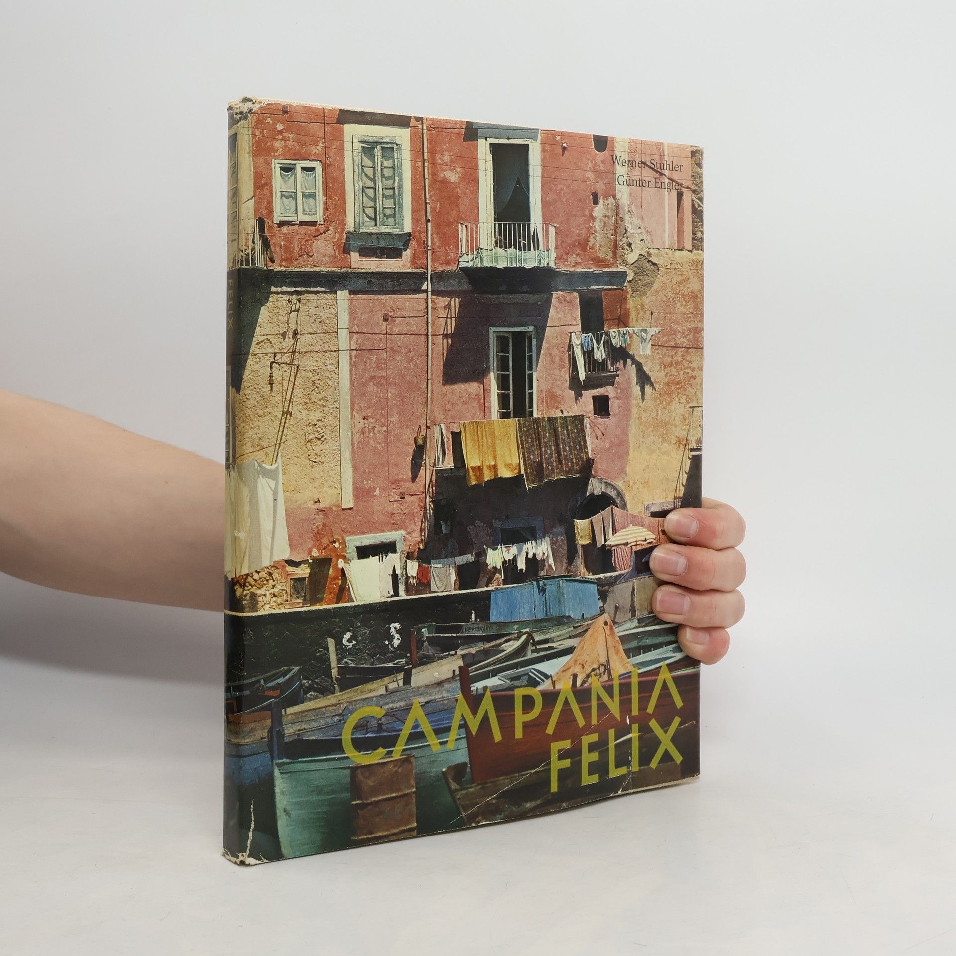 AA.VV. Campania felix