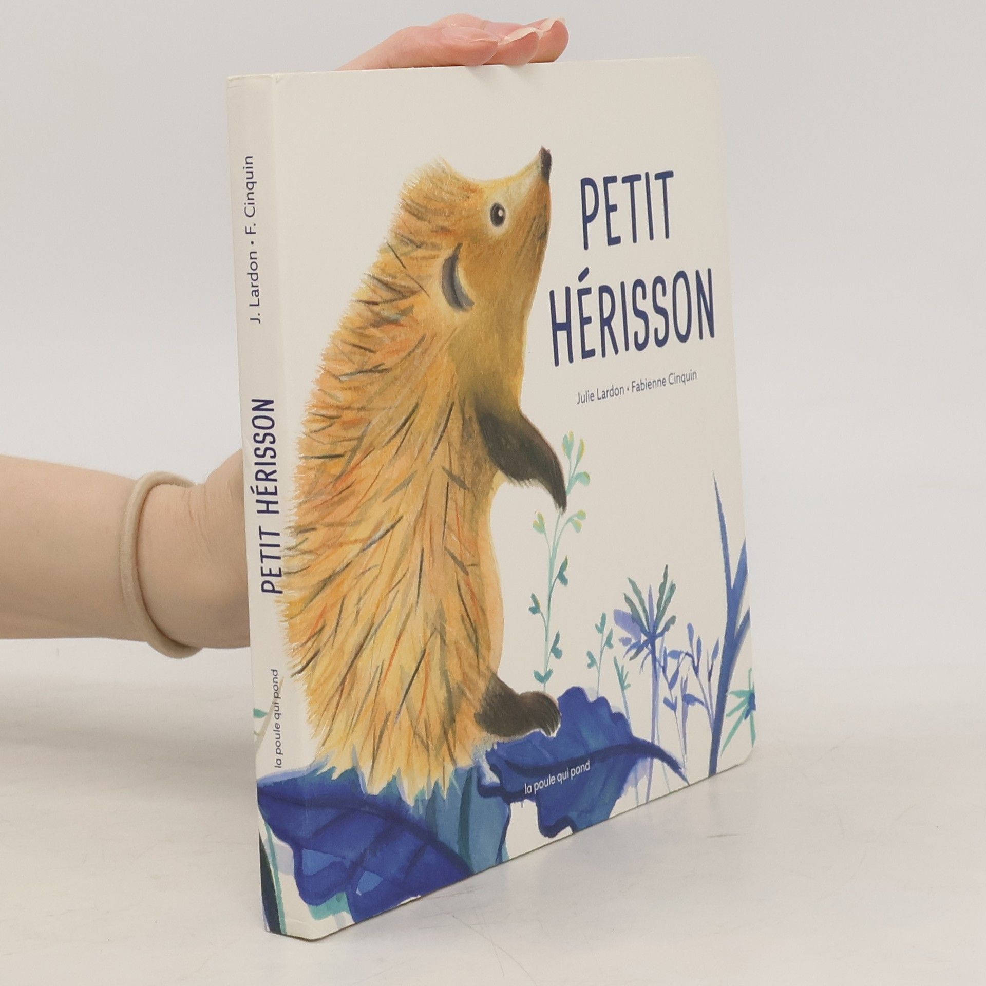 Julie Lardon Petit hérisson