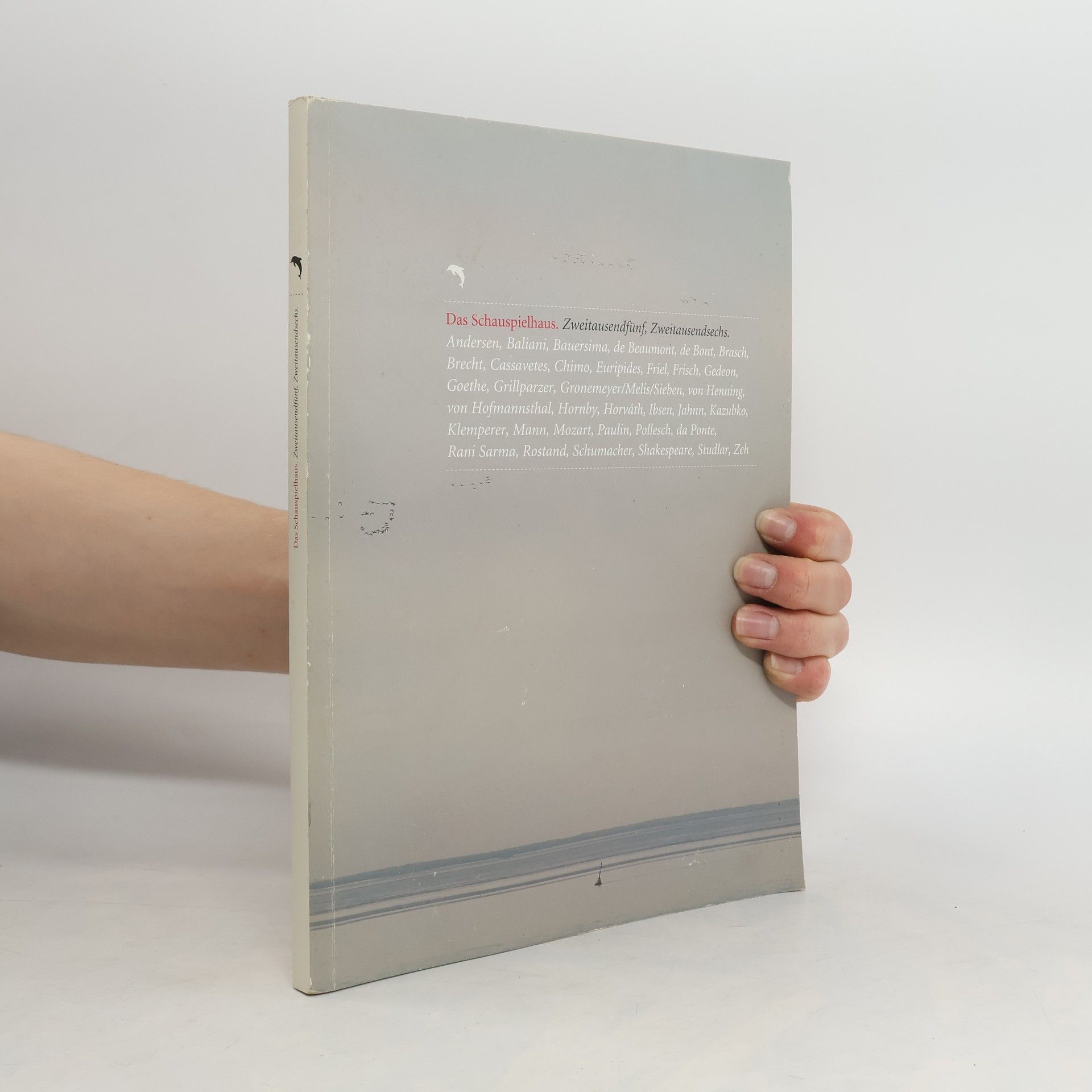 Collectif d'auteurs Das Schauspielhaus