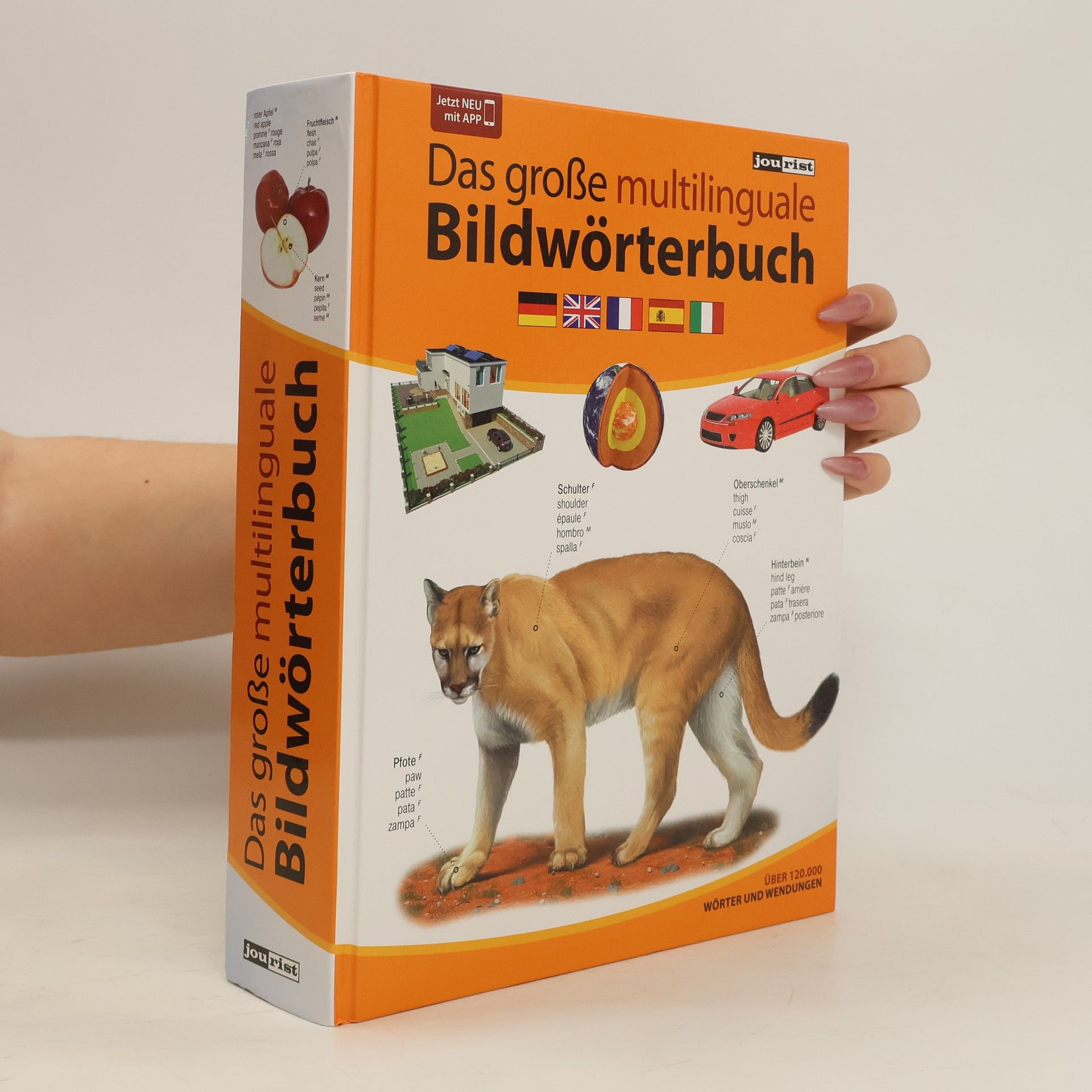 Igor Jourist Das große multilinguale Bildwörterbuch