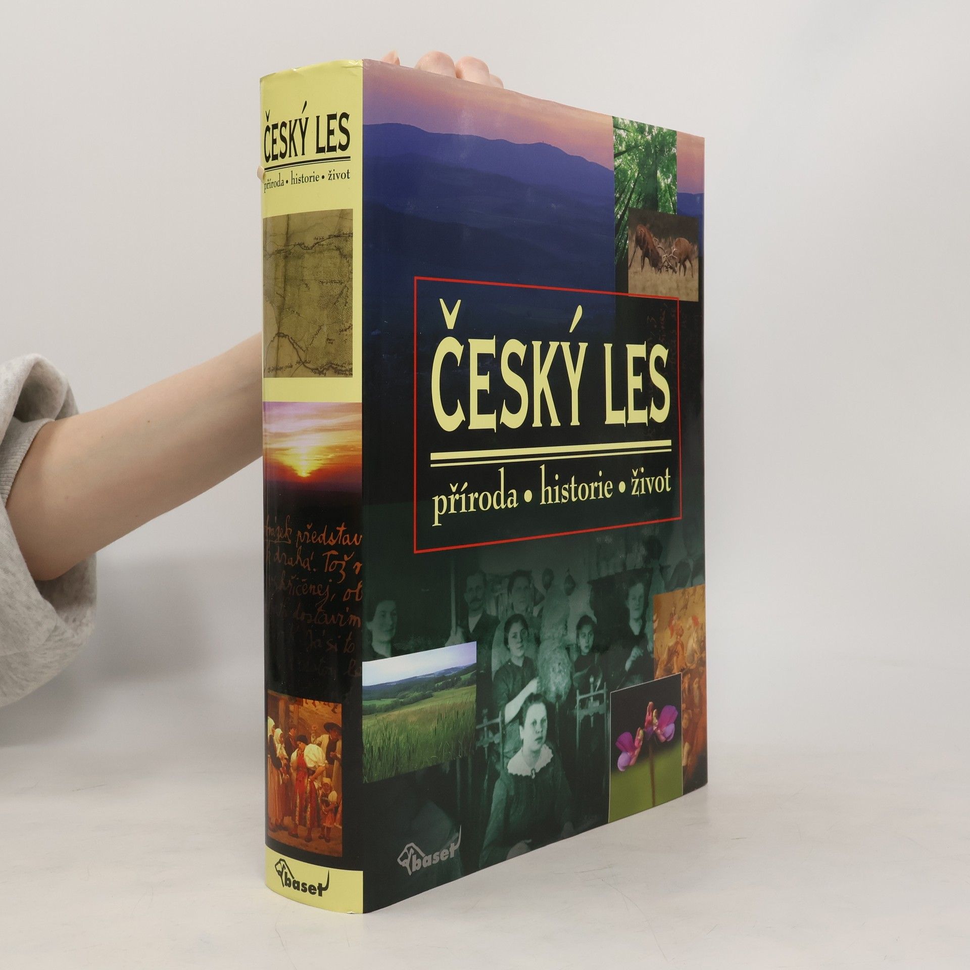 Vladislav Dudák Český les