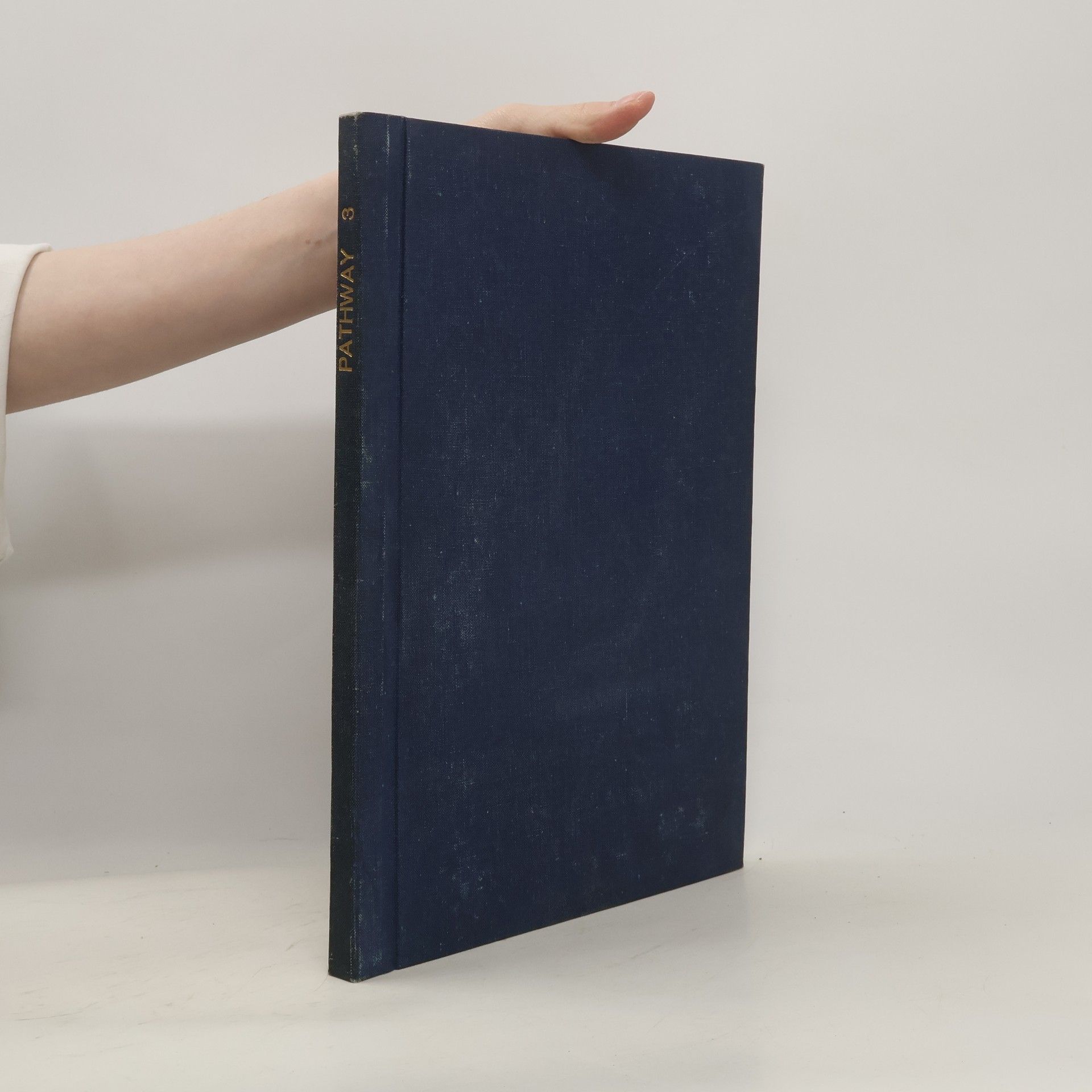 Nikolas Hawkes Pathway 3. Workbook