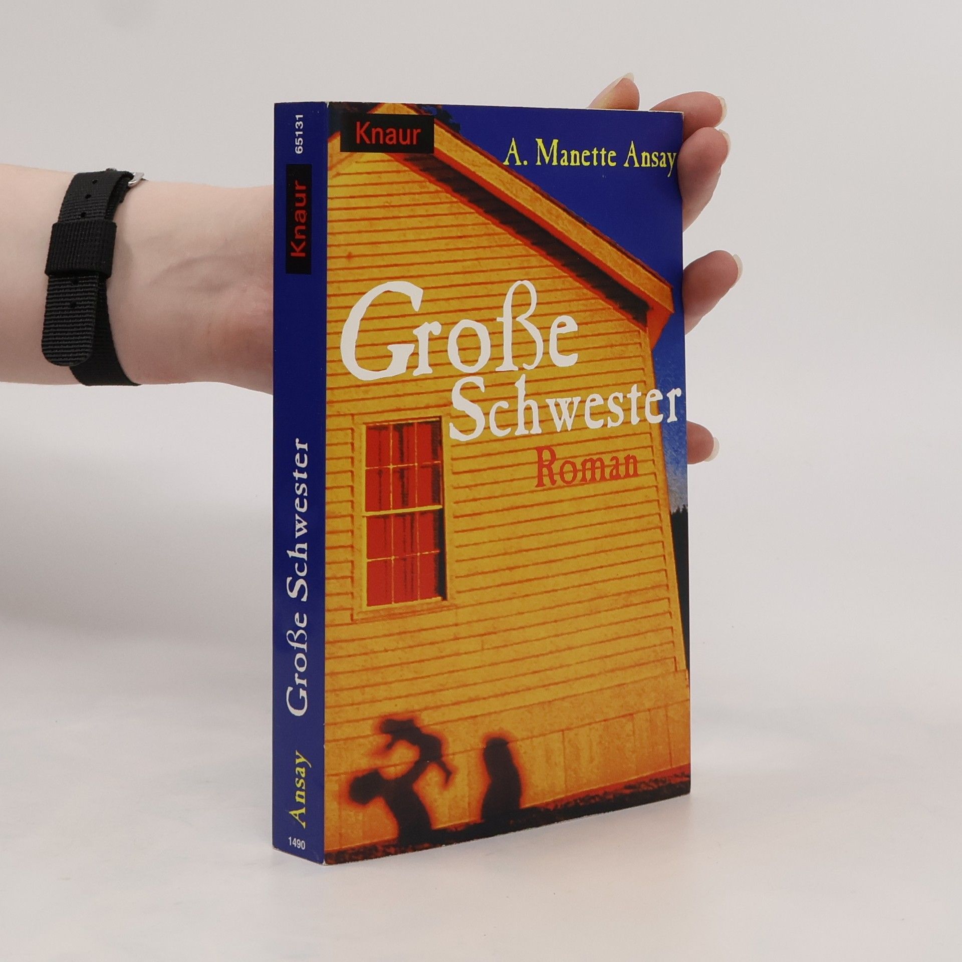 A. Manette Ansay Große Schwester