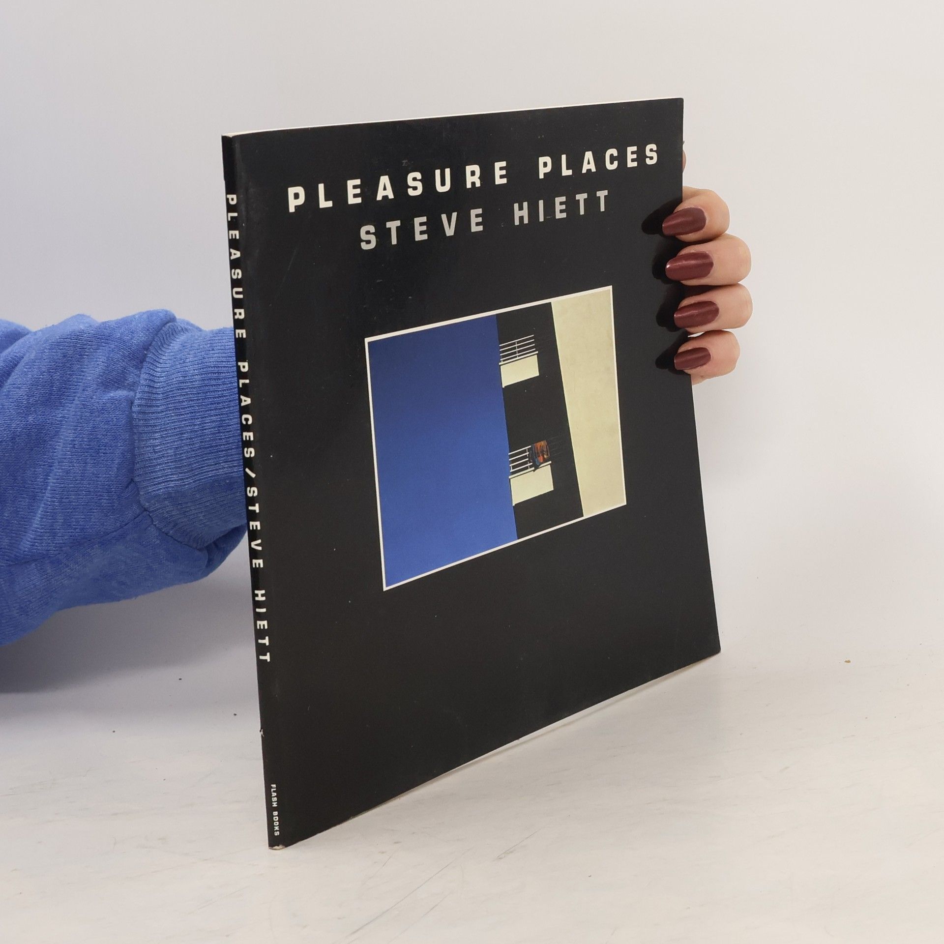 Steve Hiett Pleasure Places