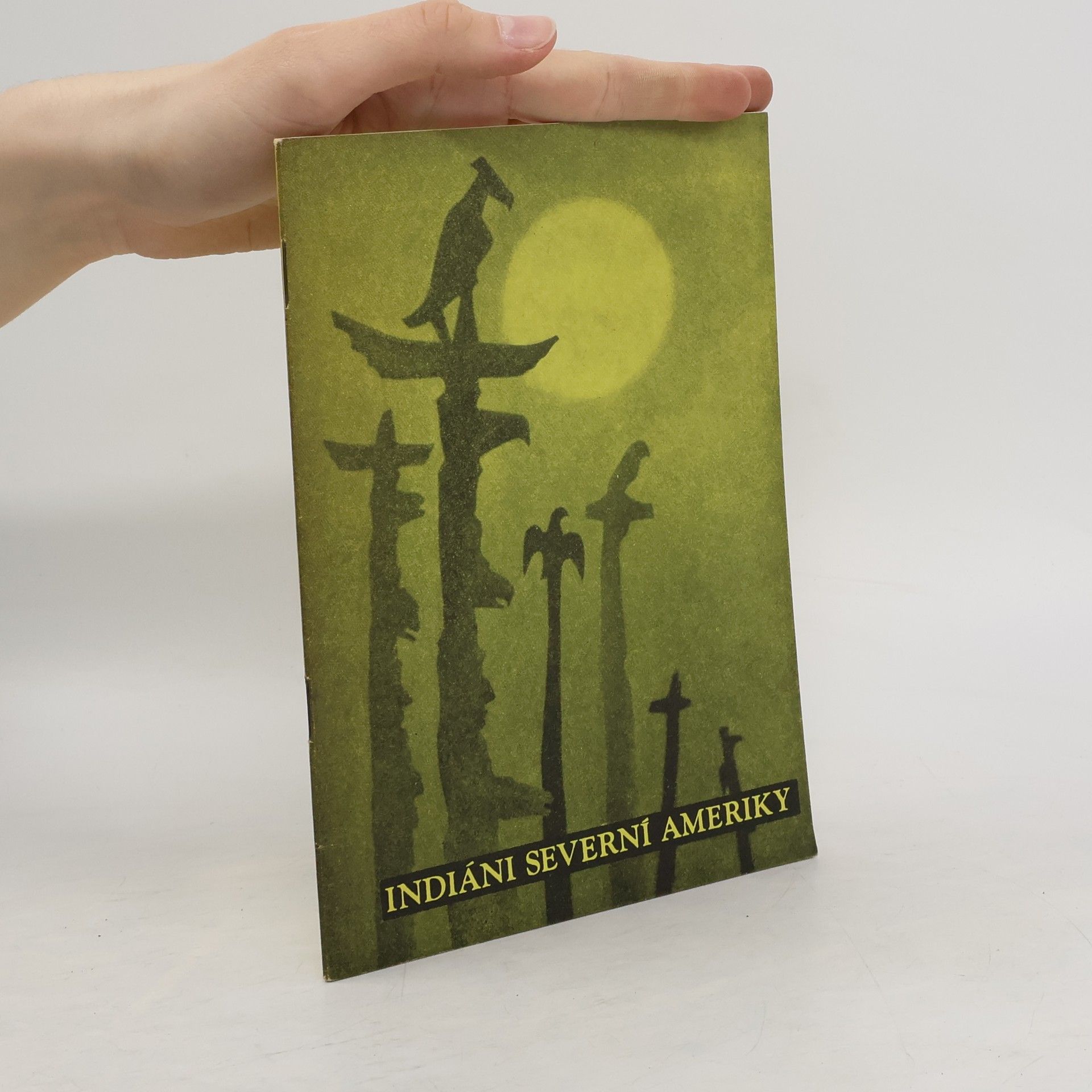 Collectif d'auteurs Indiáni Severní Ameriky