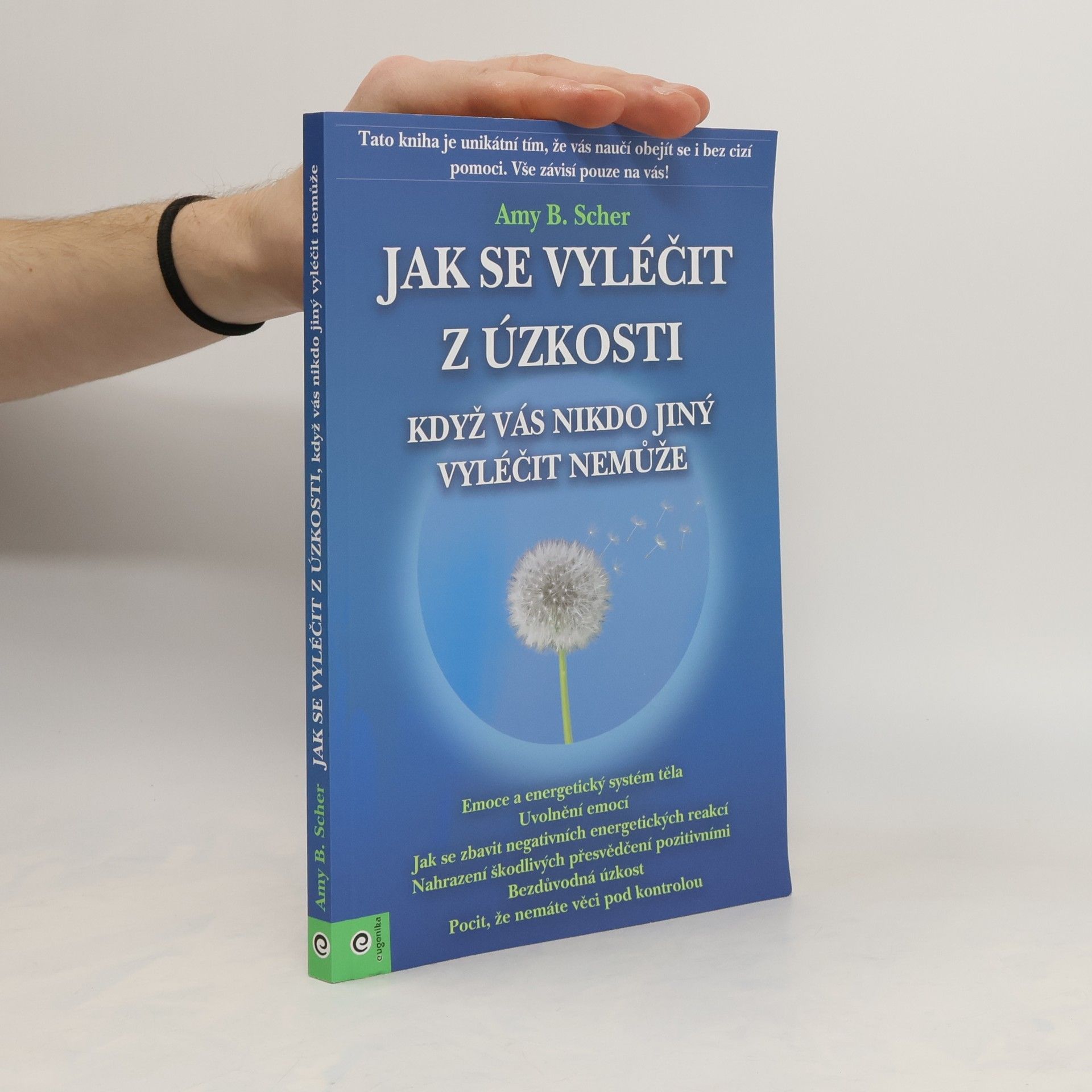 Amy B. Scher Jak se vyléčit z úzkosti, když vás nikdo jiný vyléčit nemůže