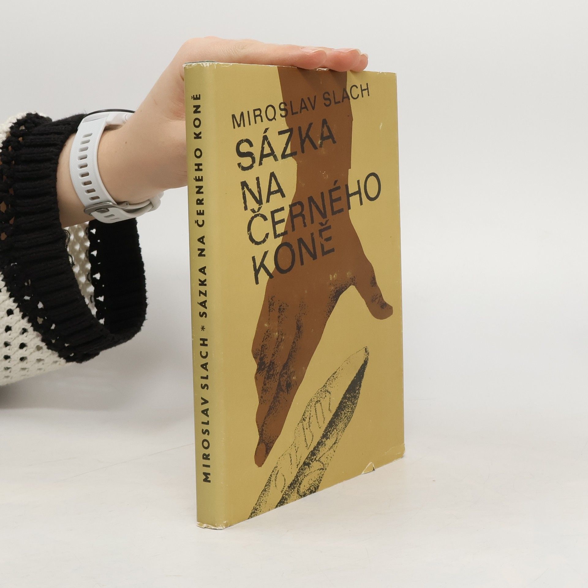 Miroslav Slach Sázka na černého koně