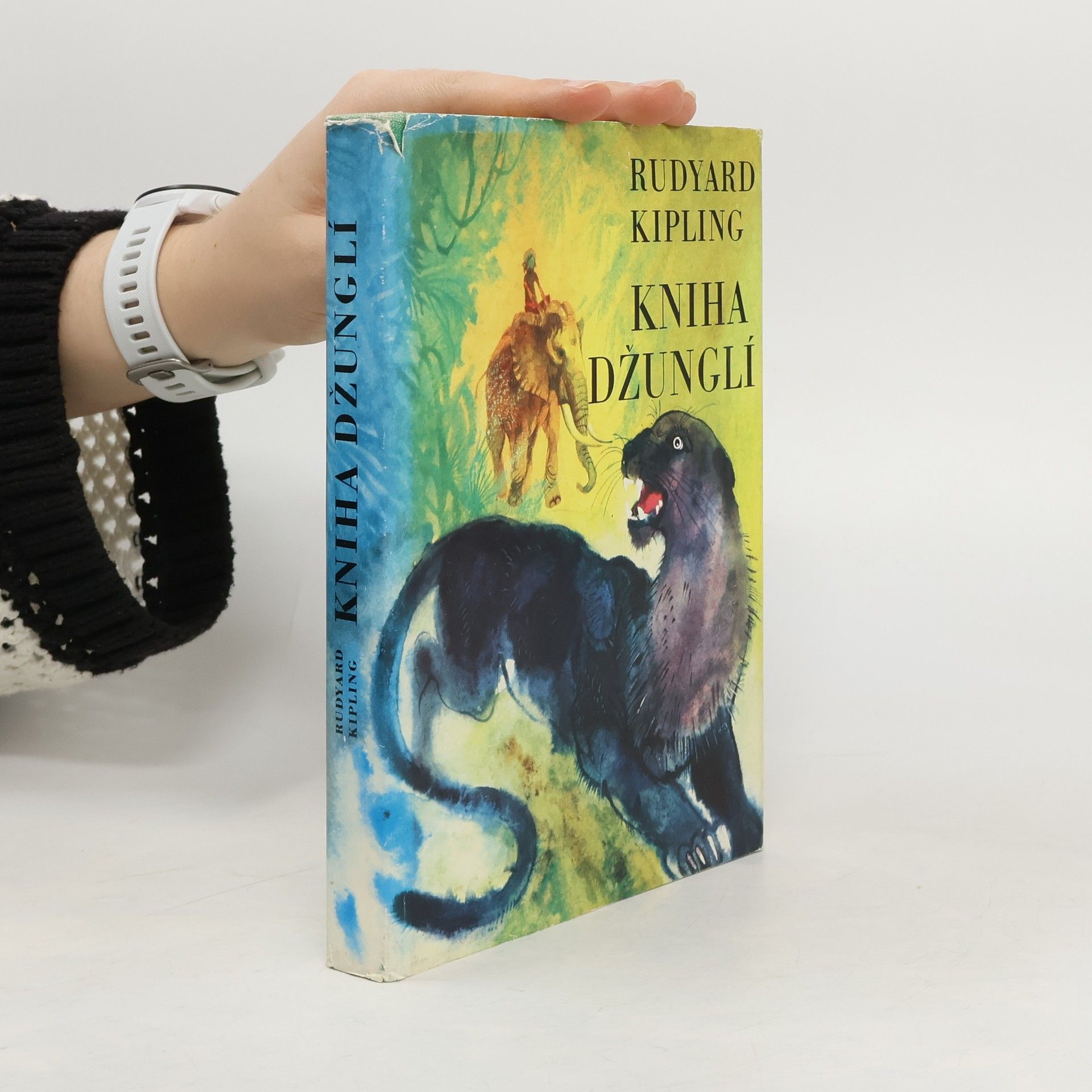 Rudyard Kipling Kniha džunglí I-II.