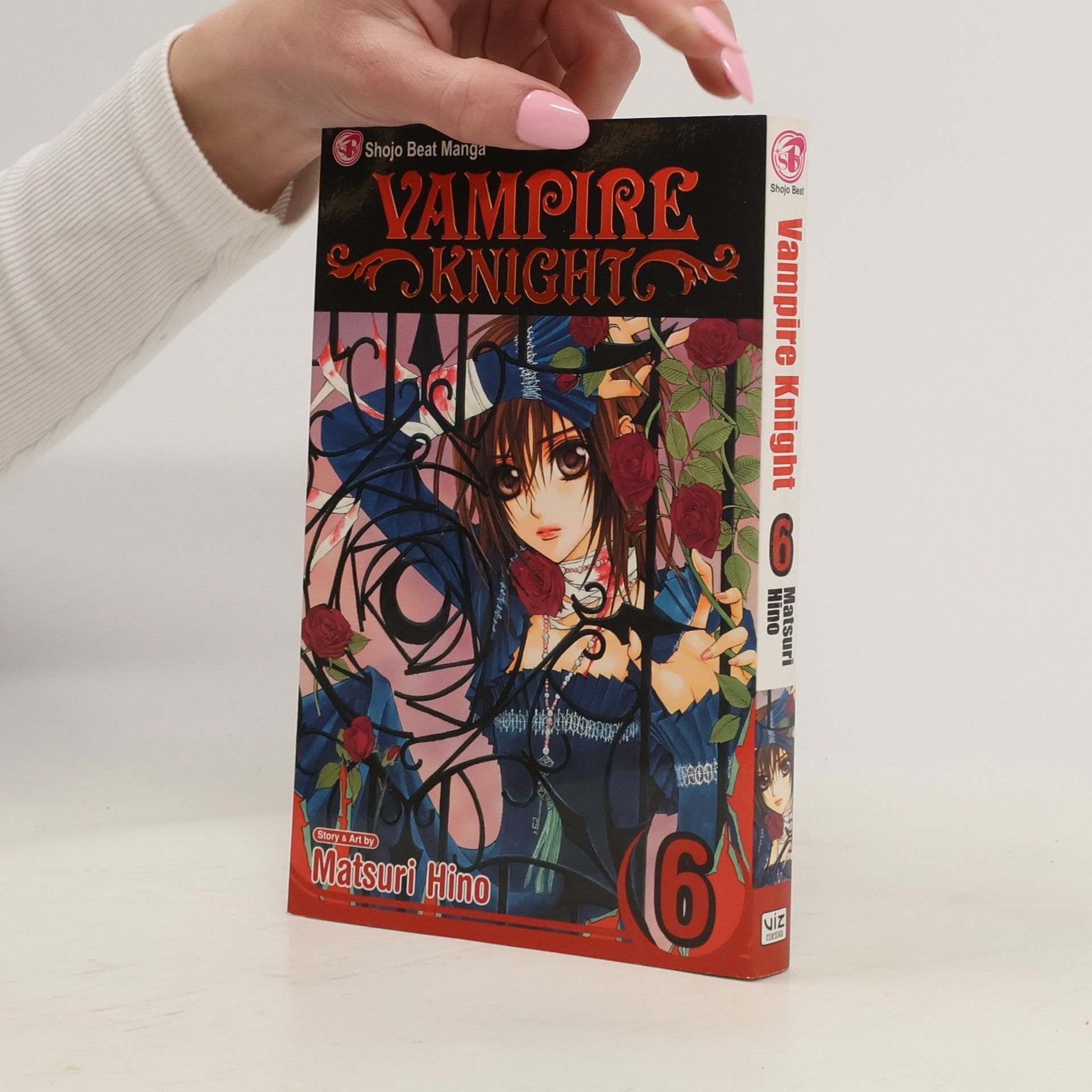 Matsuri Hino Vampire Knight, Vol. 6