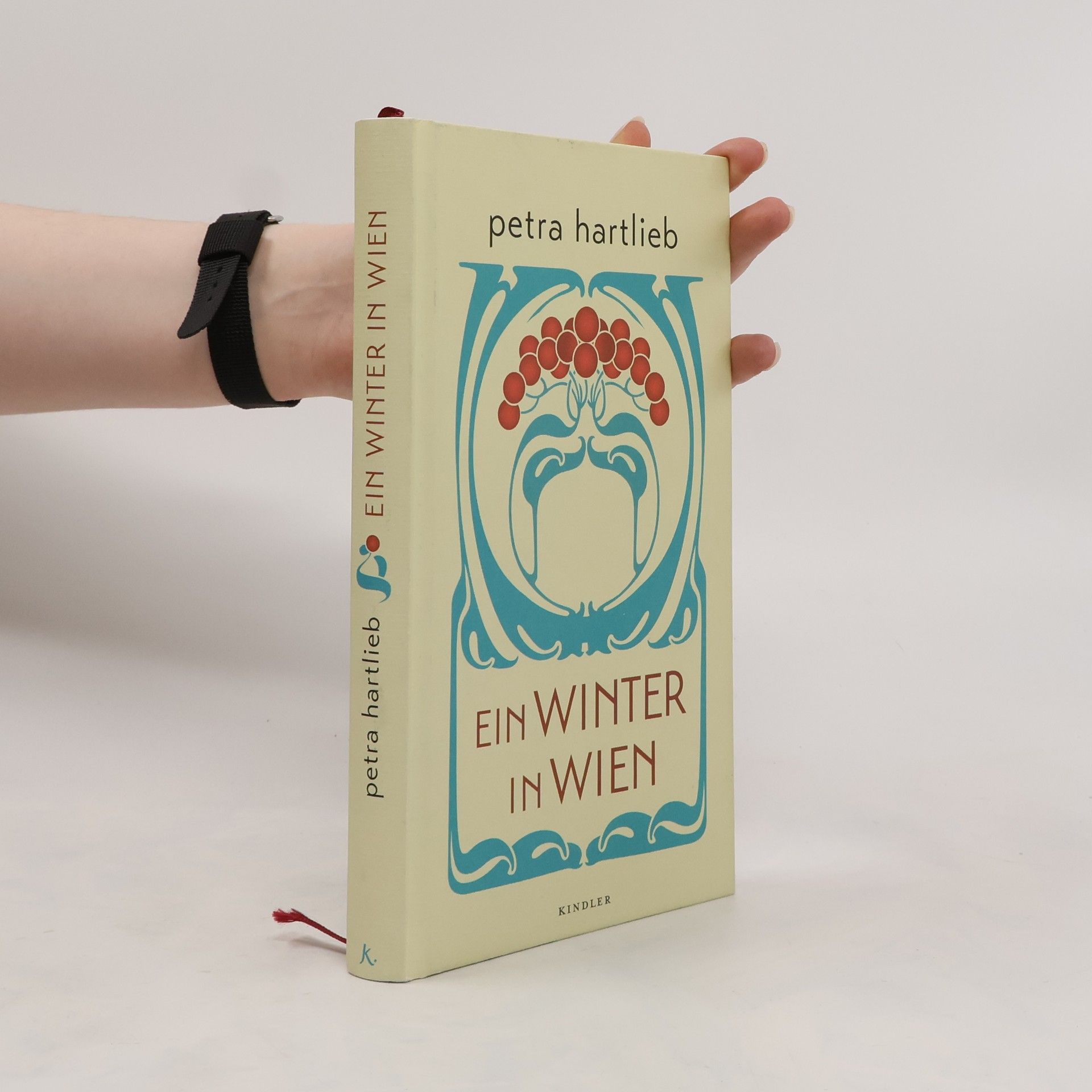 Petra Hartlieb Ein Winter in Wien
