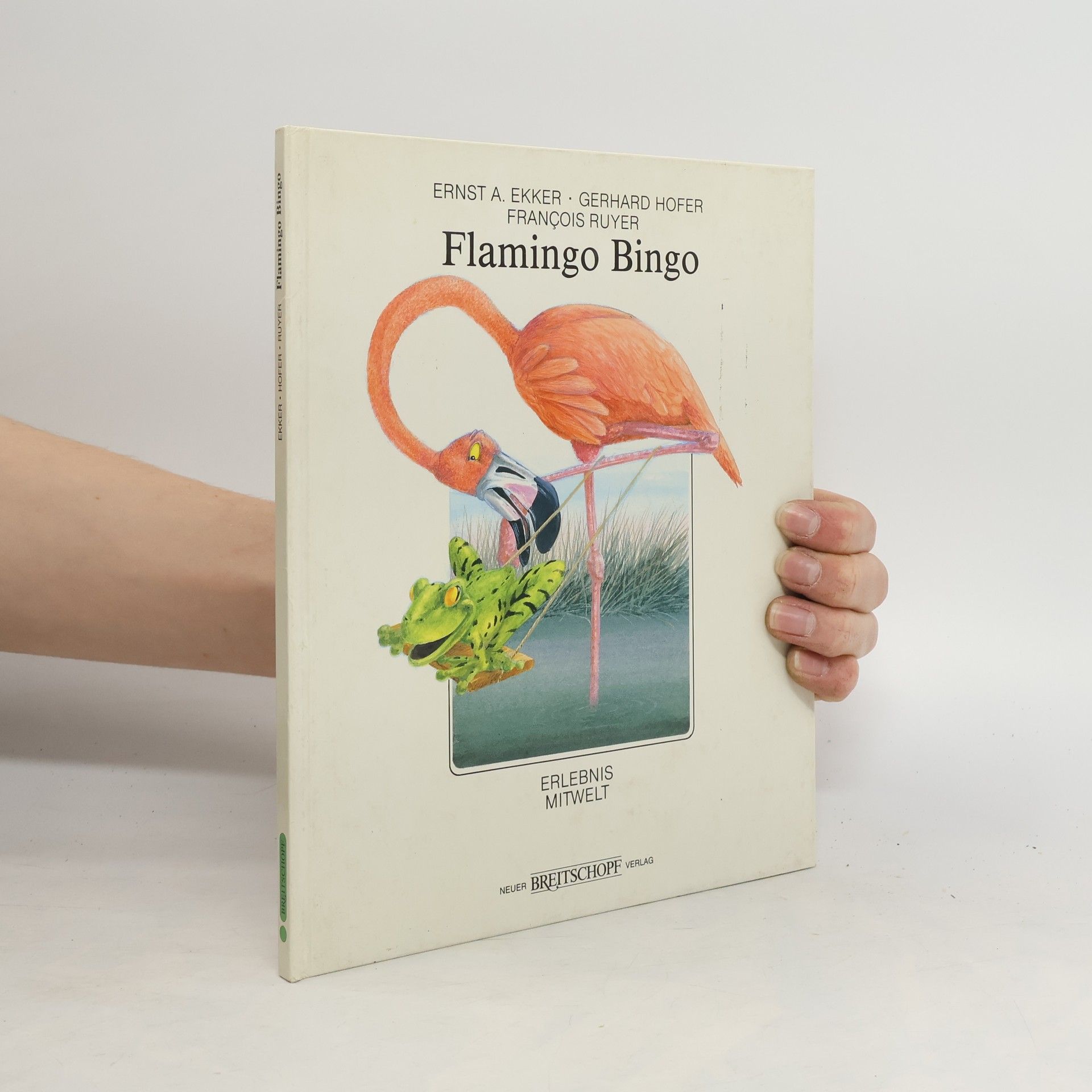 Collectif d'auteurs Flamingo Bingo