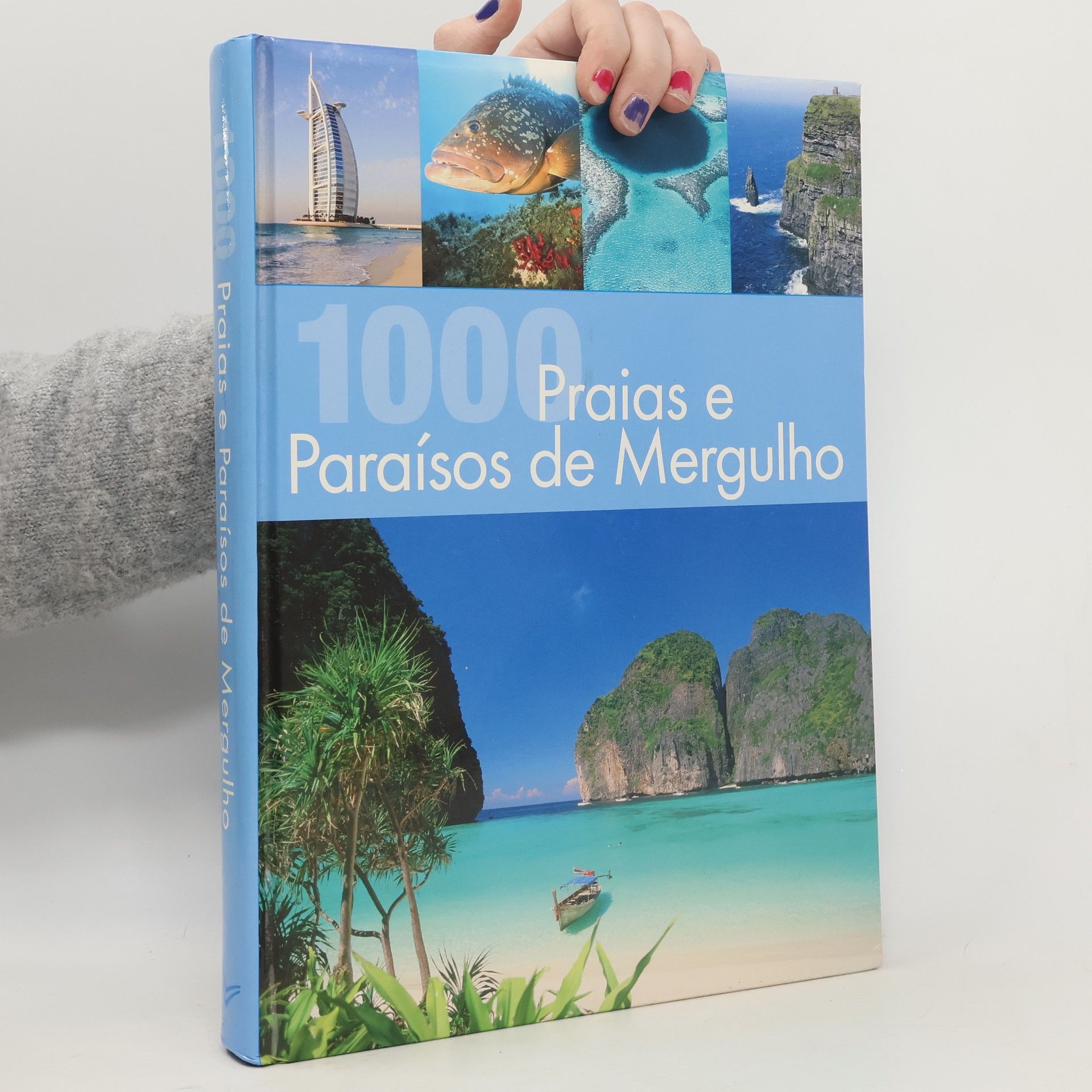Autorenkollektiv 1000 Praias e Paraísos de Mergulho