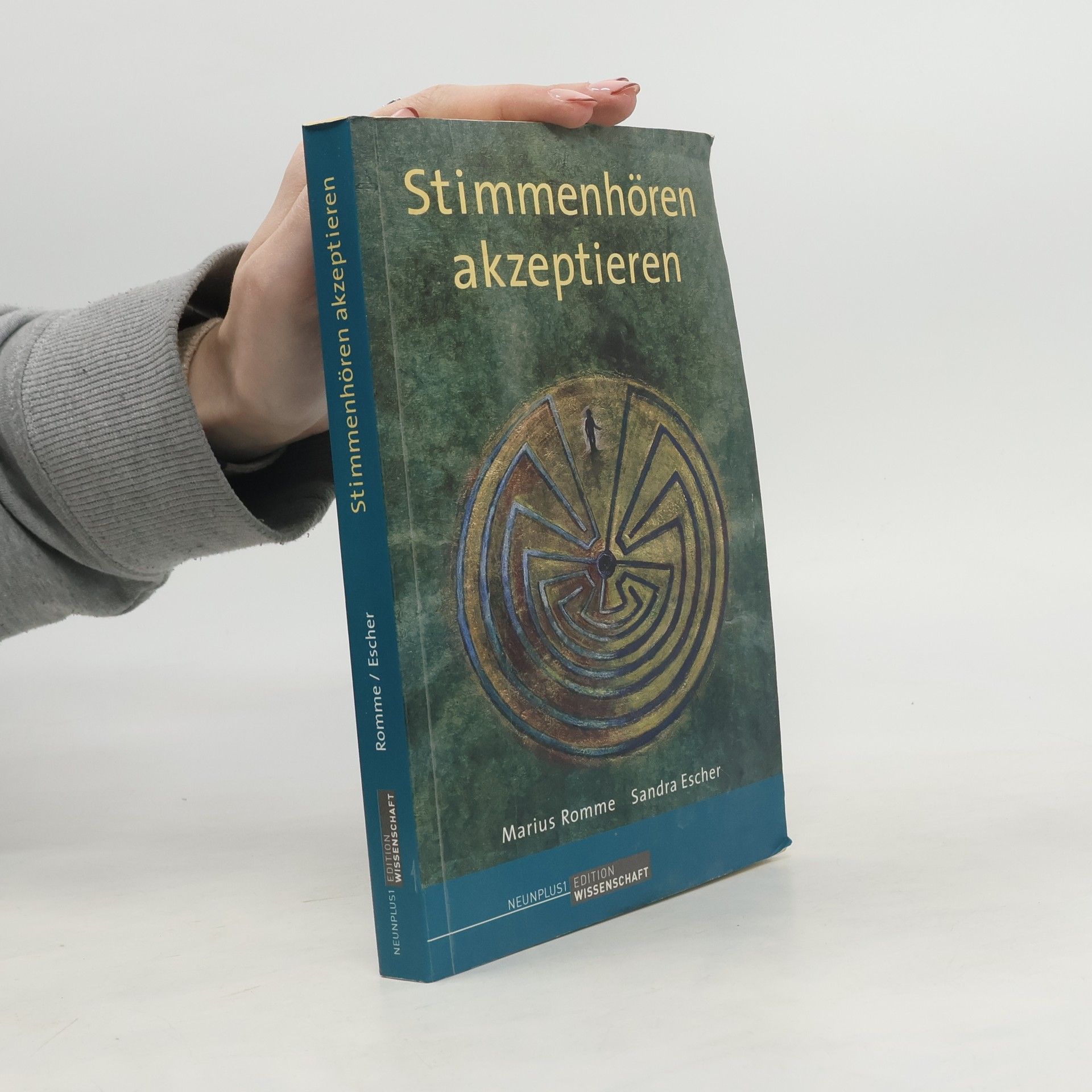 Marius Romme Stimmenhören akzeptieren