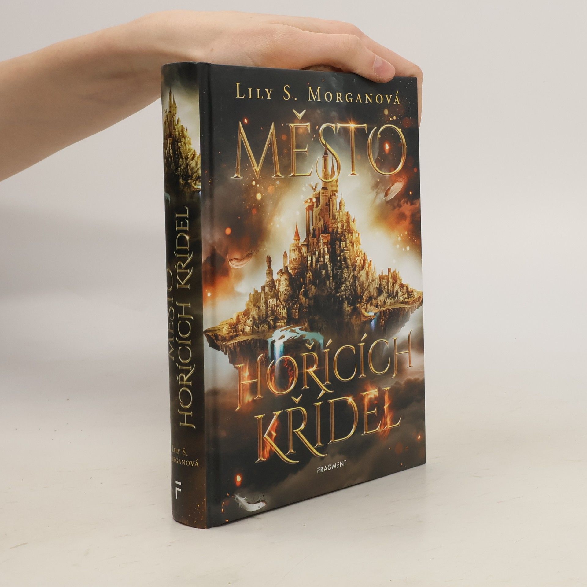 Lily S Morgan Město hořících křídel