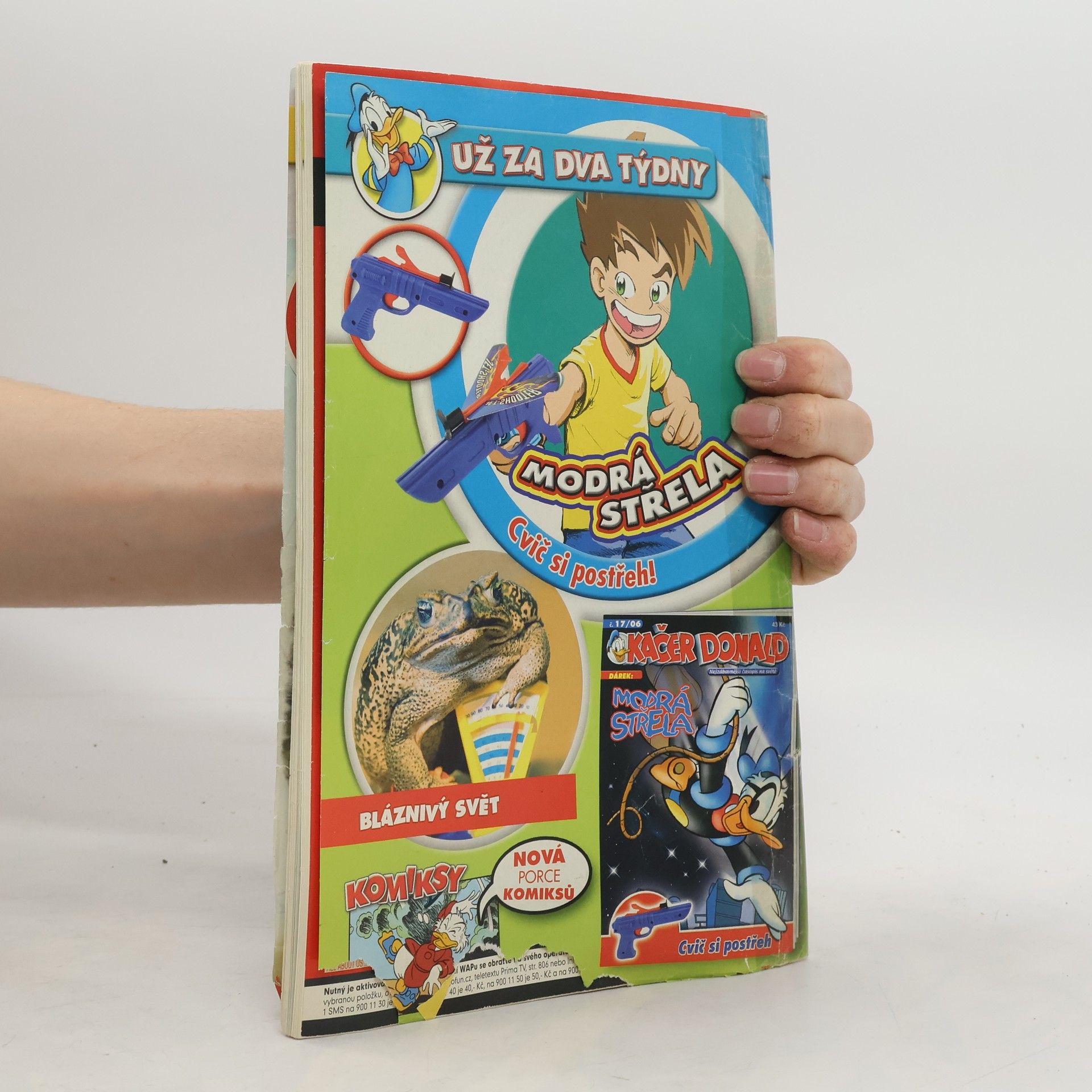 Autorenkollektiv Kačer Donald 16/2006. Doba a život pirátů!