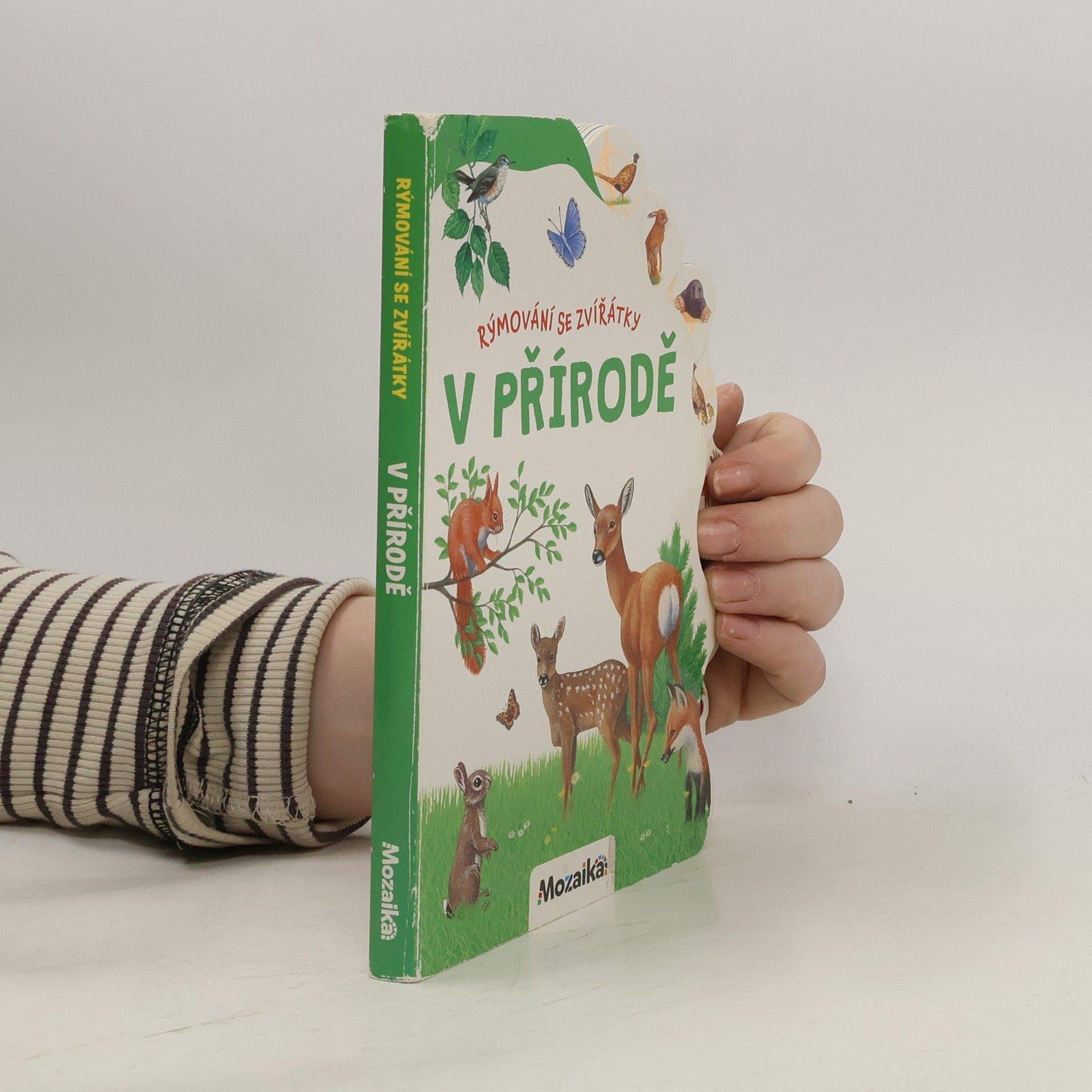 kolektiv Rýmování se zvířátky: V přírodě
