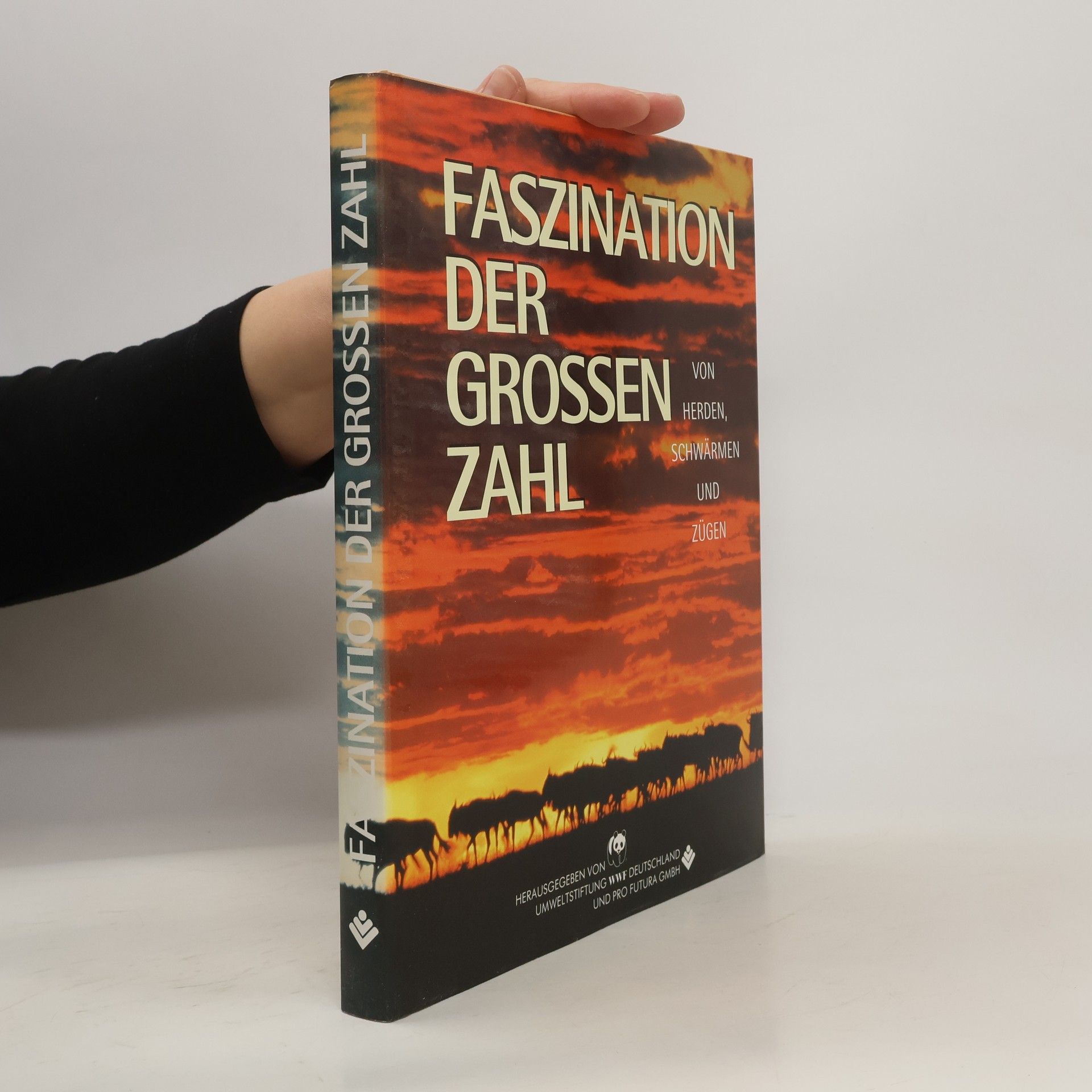 Collectif d'auteurs Faszination der grossen zahl
