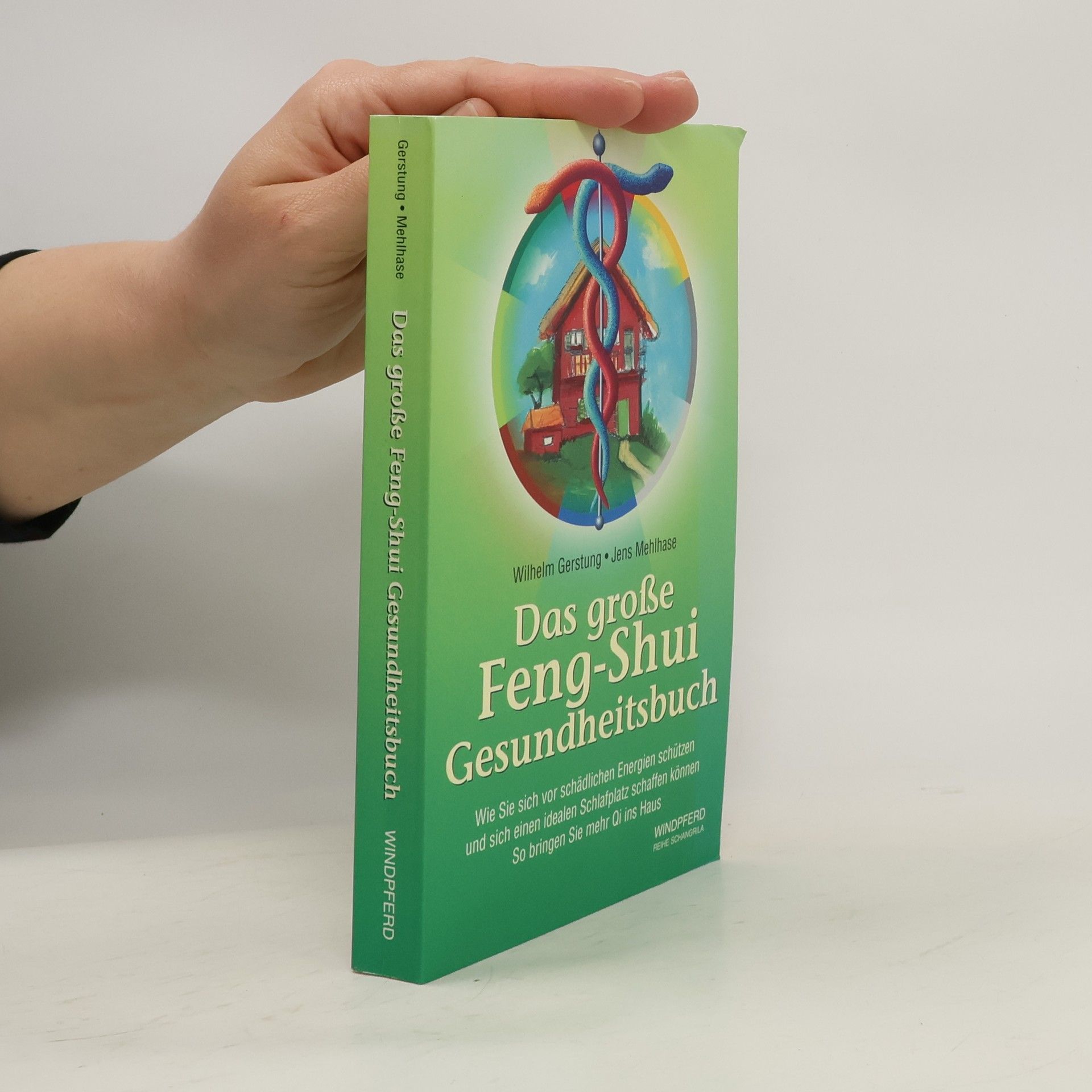Wilhelm Gerstung Das grosse Feng-Shui Gesundheitsbuch