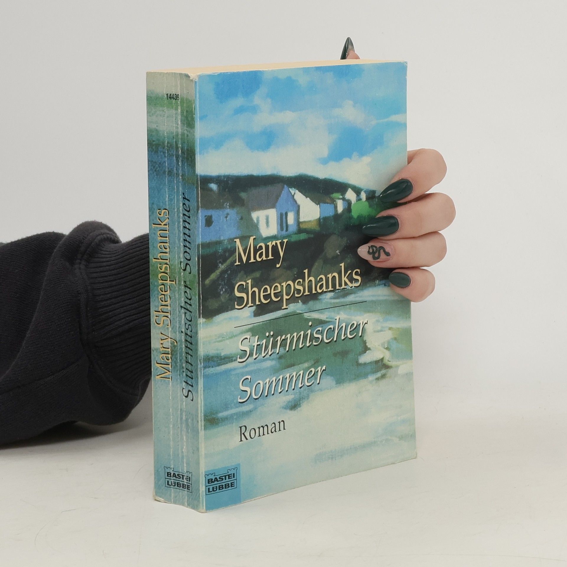 Mary Sheepshanks Stürmischer Sommer