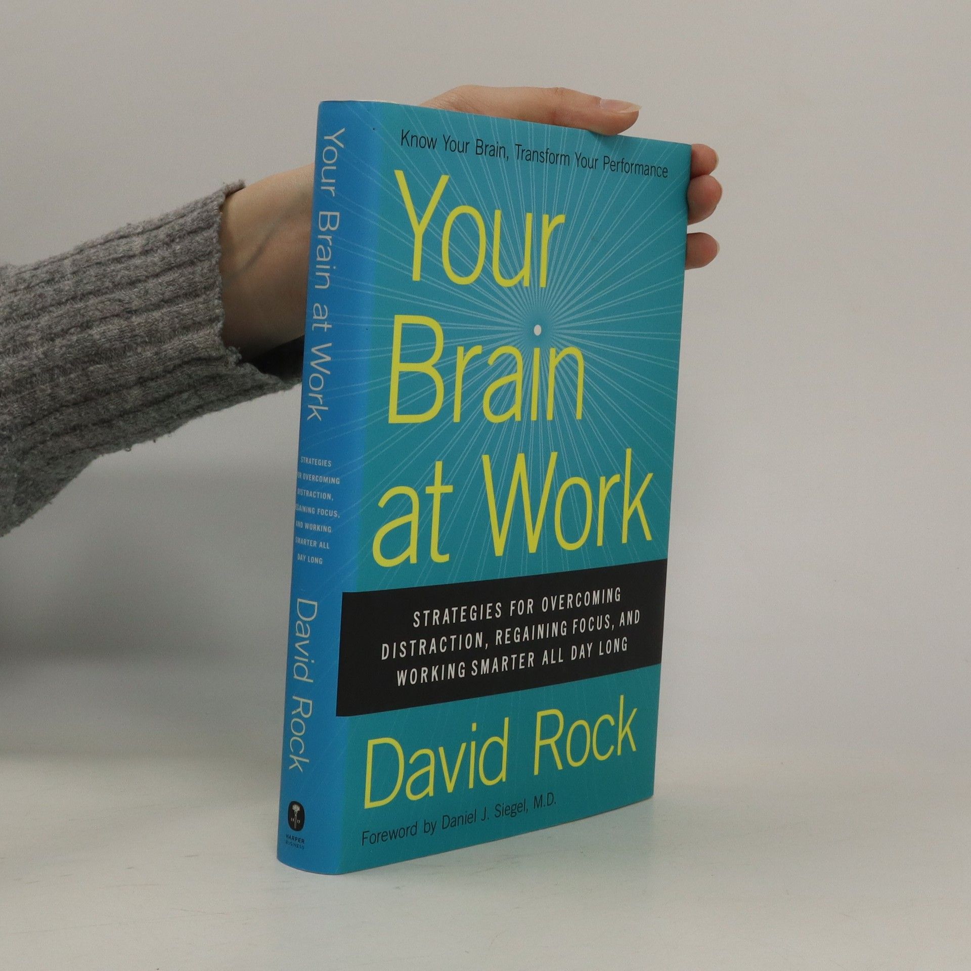 David Rock Your Brain at Work