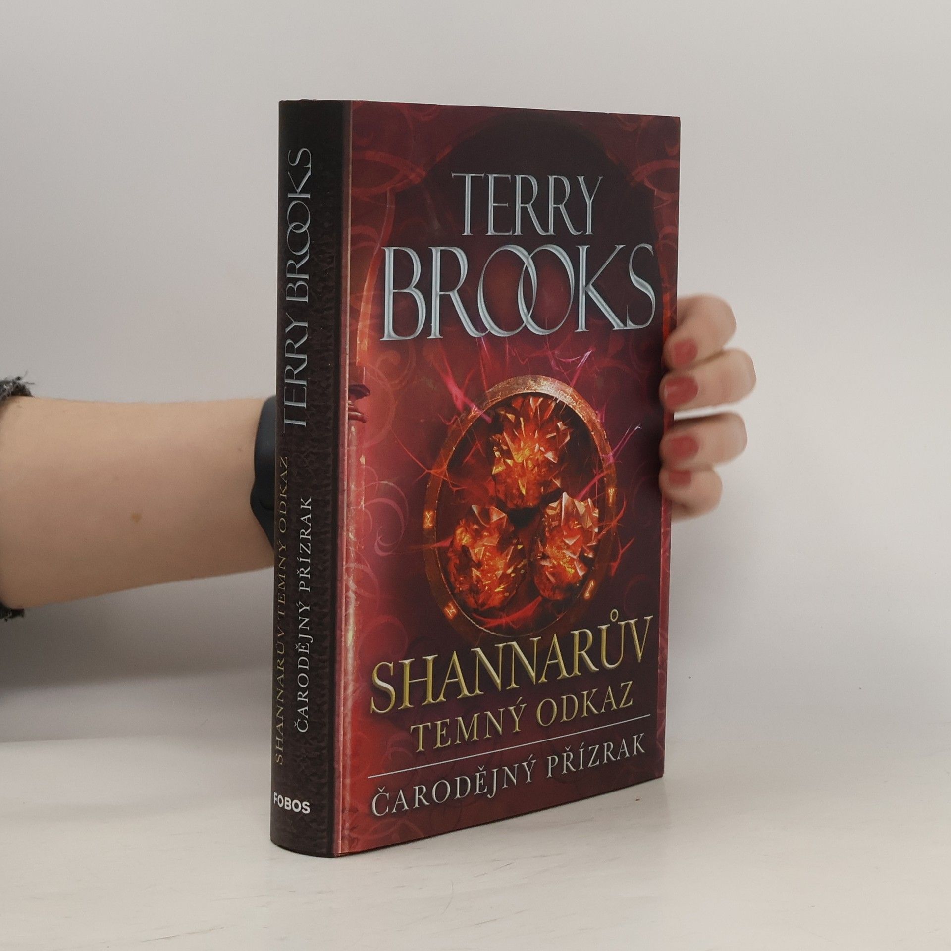 Terry Brooks Čarodějný přízrak