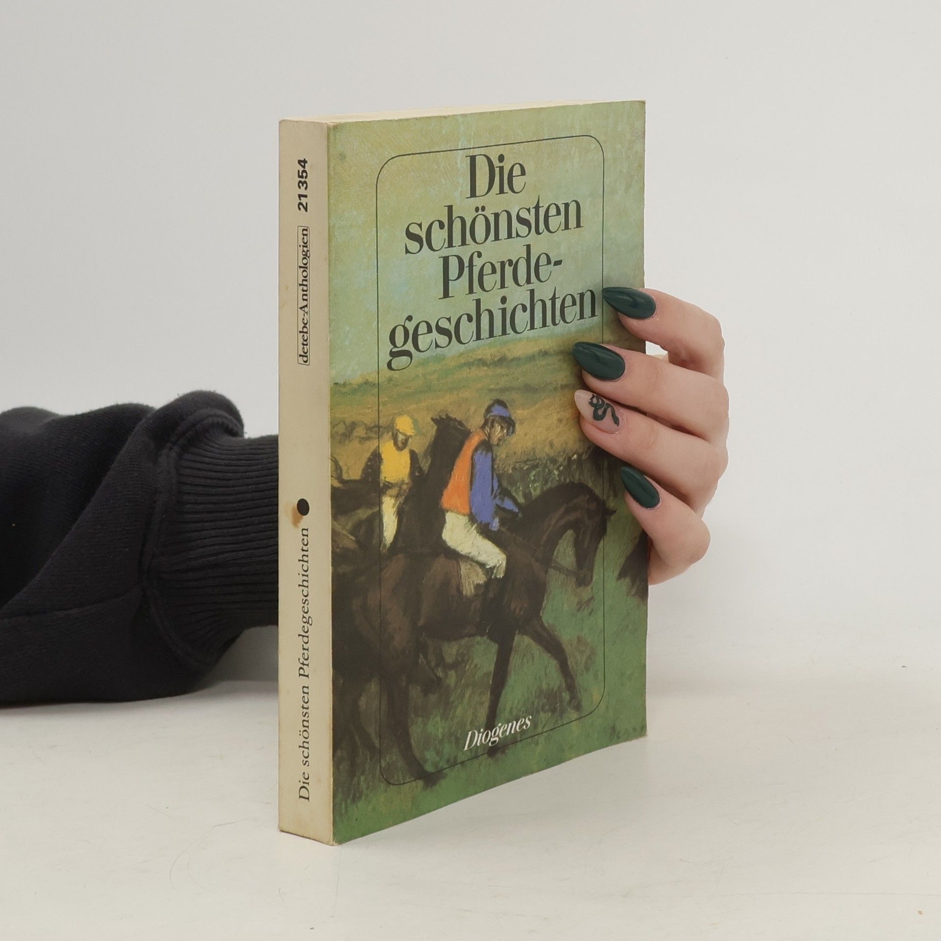Lew Nikolajewitsch Tolstoi Die schönsten Pferdegeschichten