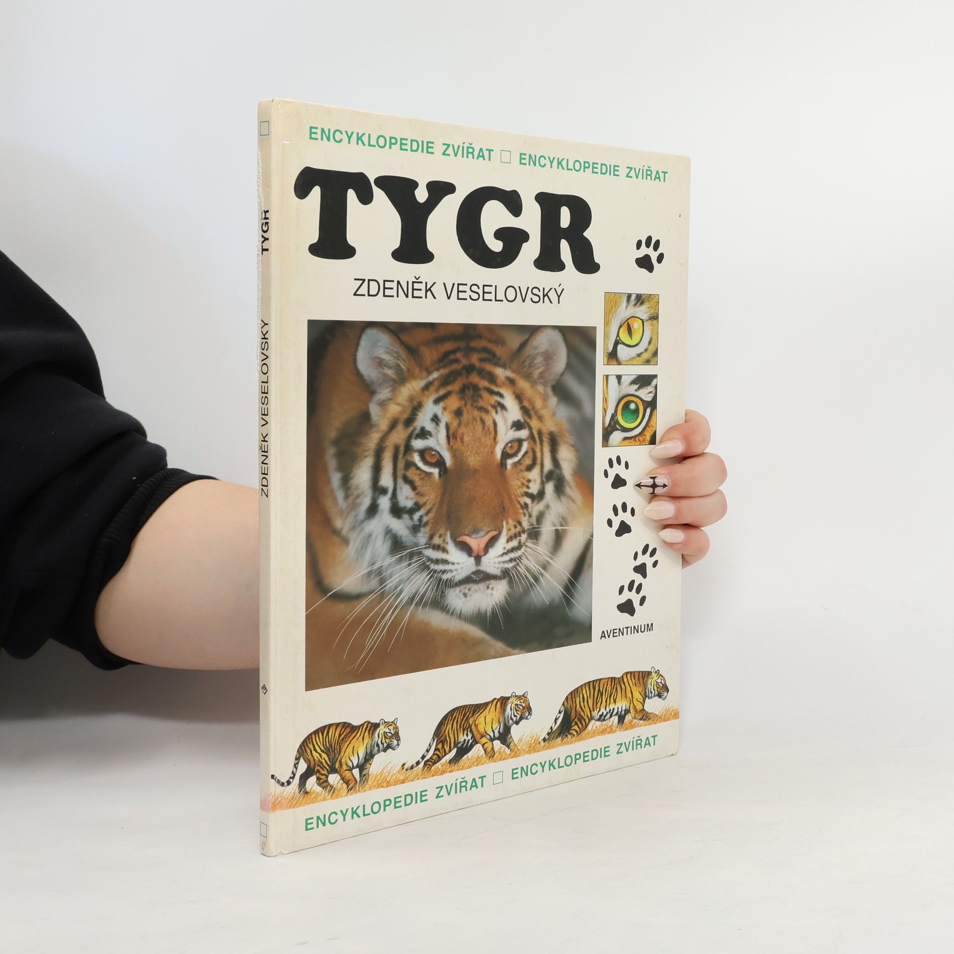 Zdeněk Veselovský Tygr