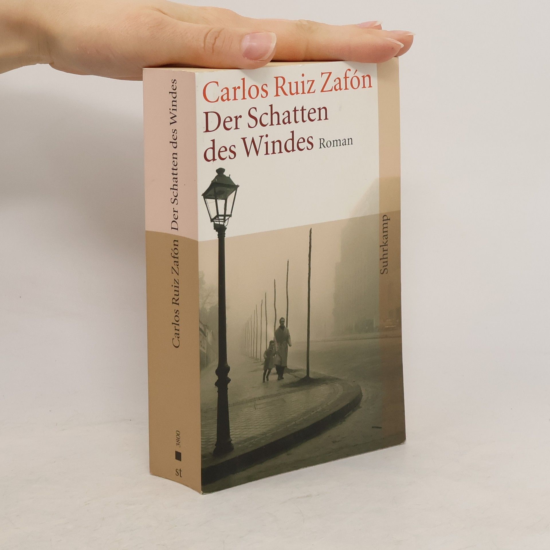 Carlos Ruis Zafon Der Schatten des Windes