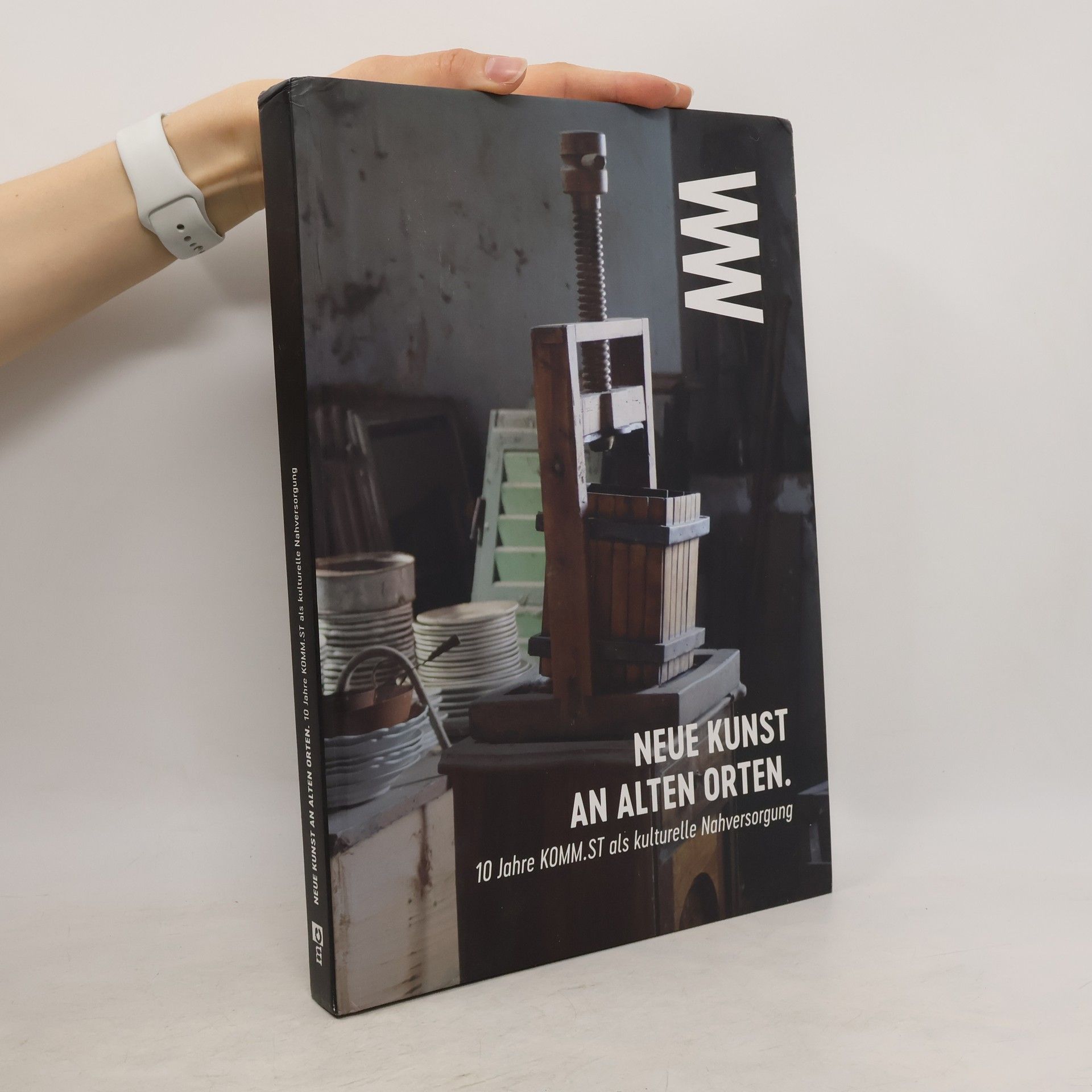 Roswitha Weingrill Neue Kunst an alten Orten