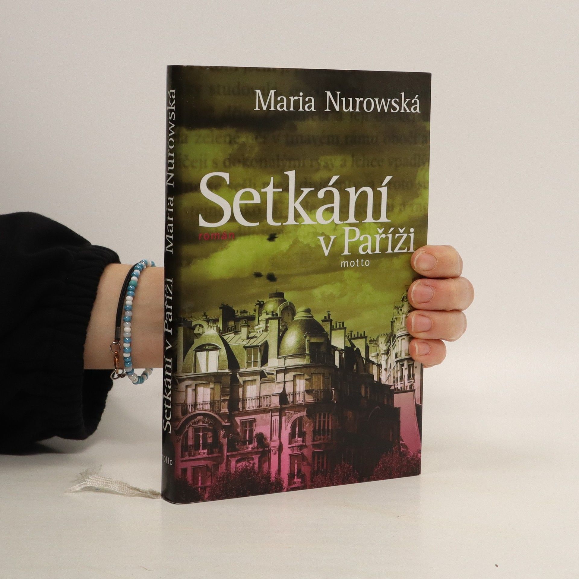 Maria Nurowska Setkání v Paříži