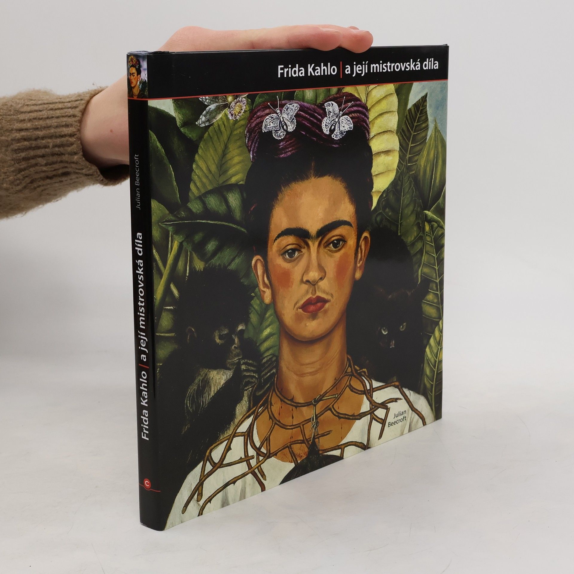 Julian Beecroft Frida Kahlo a její mistrovská díla