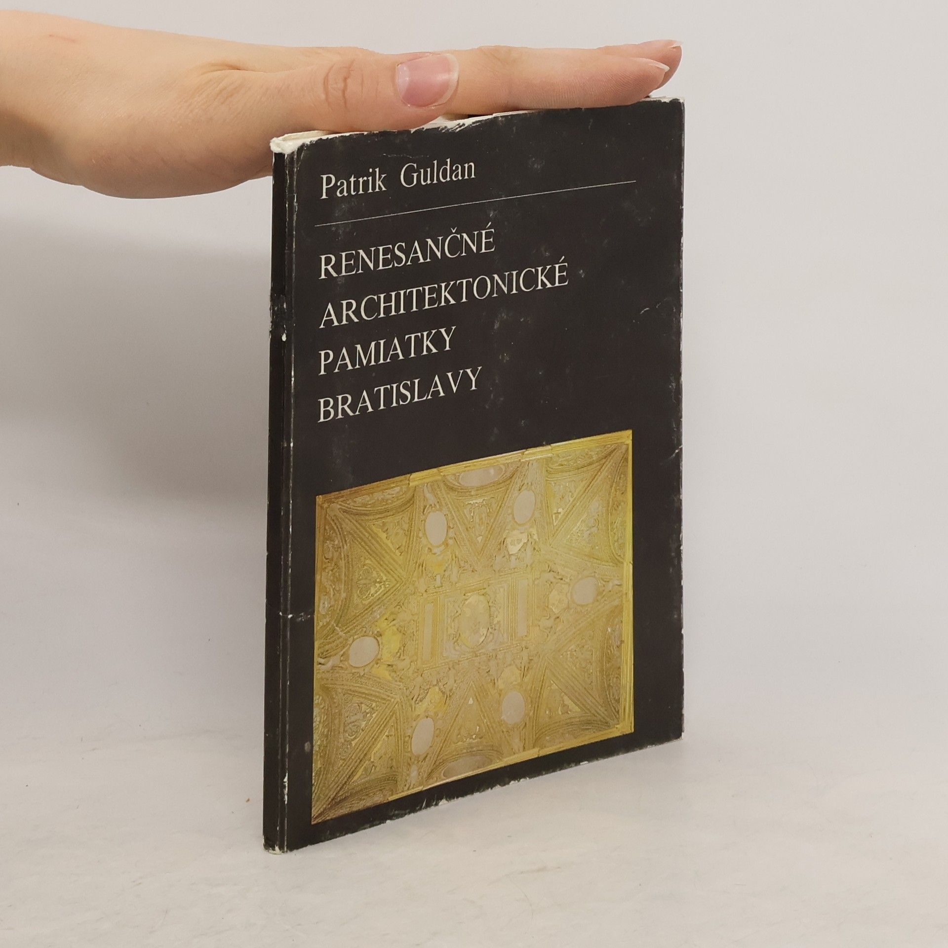 Patrik Guldan Renesančné architektonické pamiatky Bratislavy