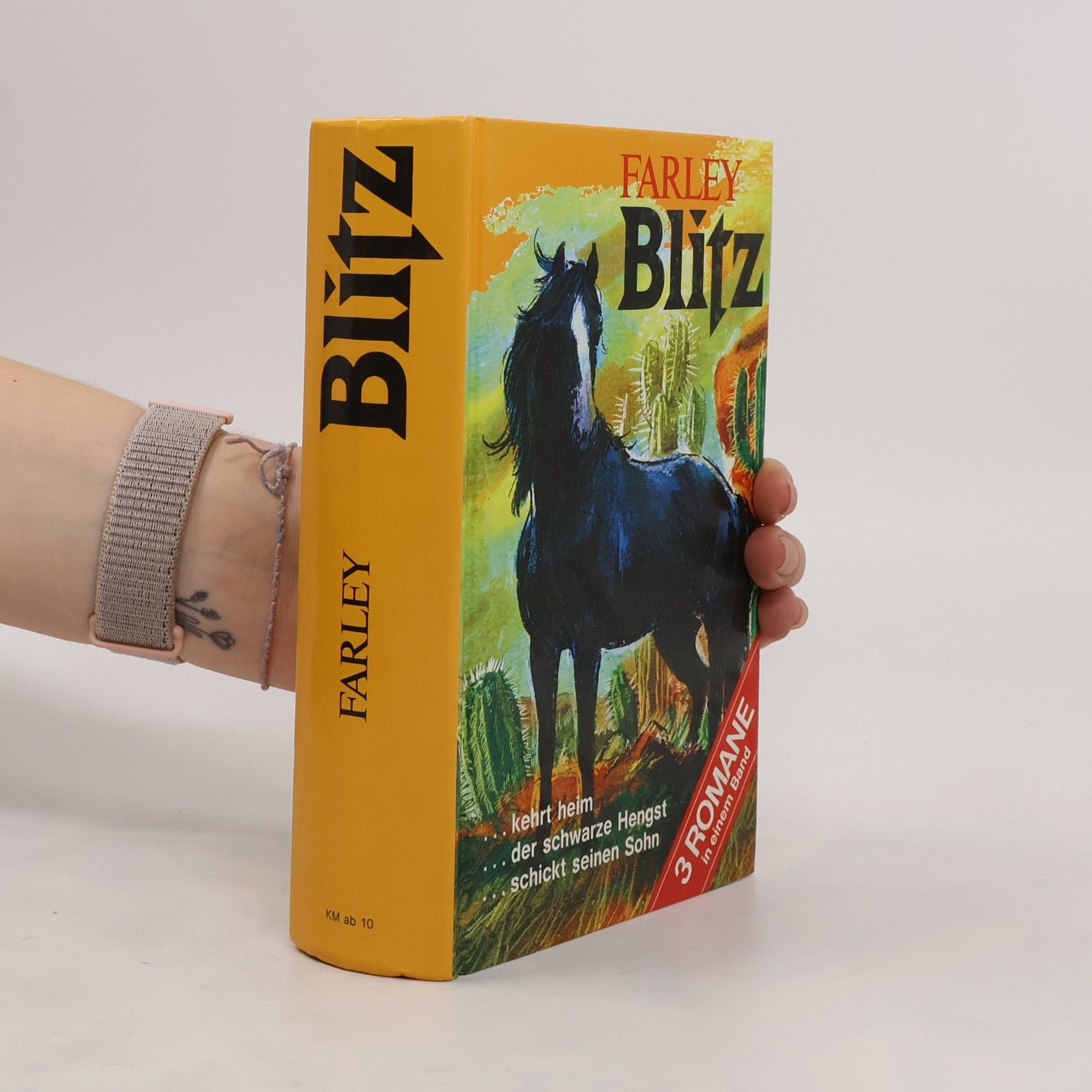 Walter Farley Blitz. 3 Romane in einem Band