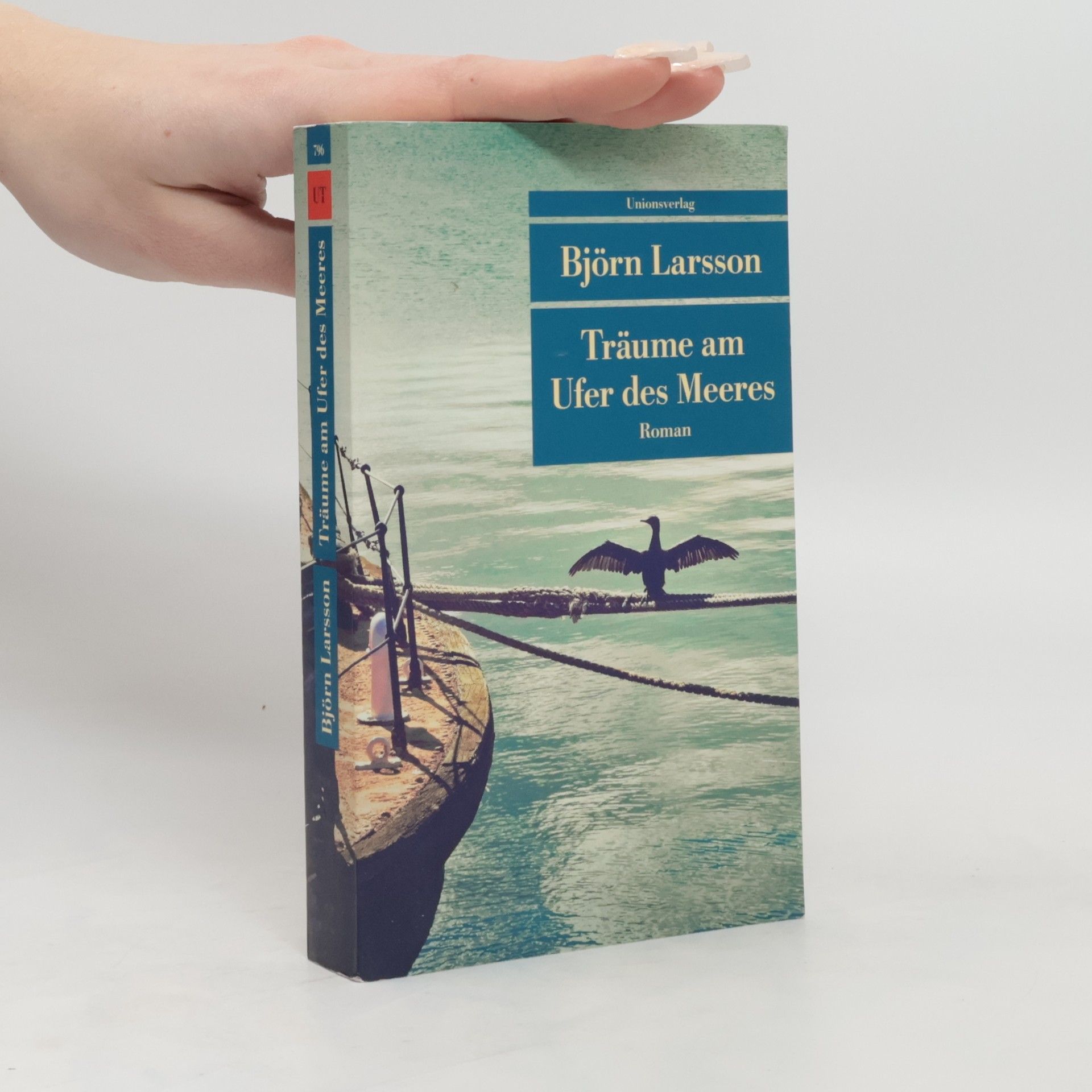 Björn Larsson Träume am Ufer des Meeres