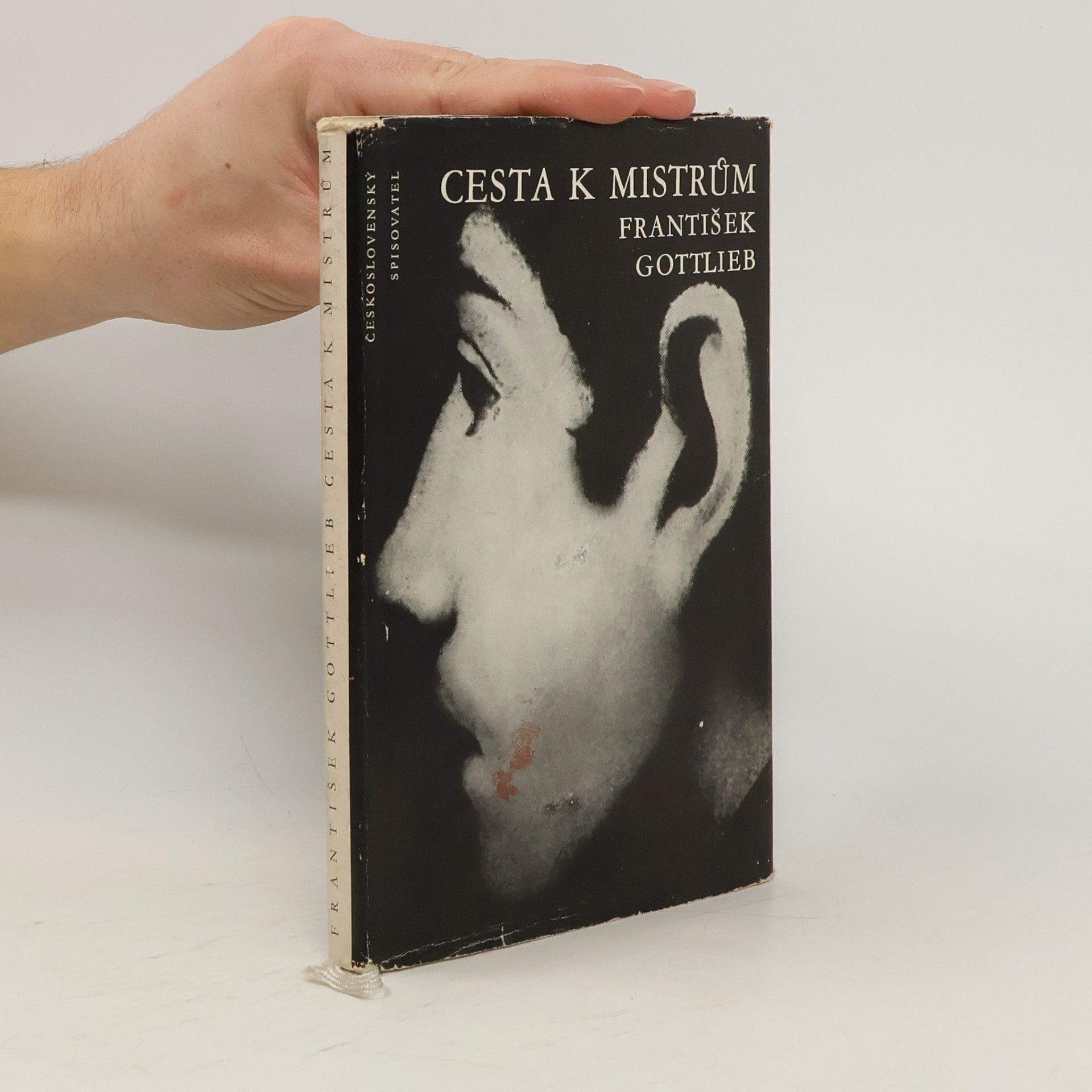 František Gottlieb Cesta k mistrům
