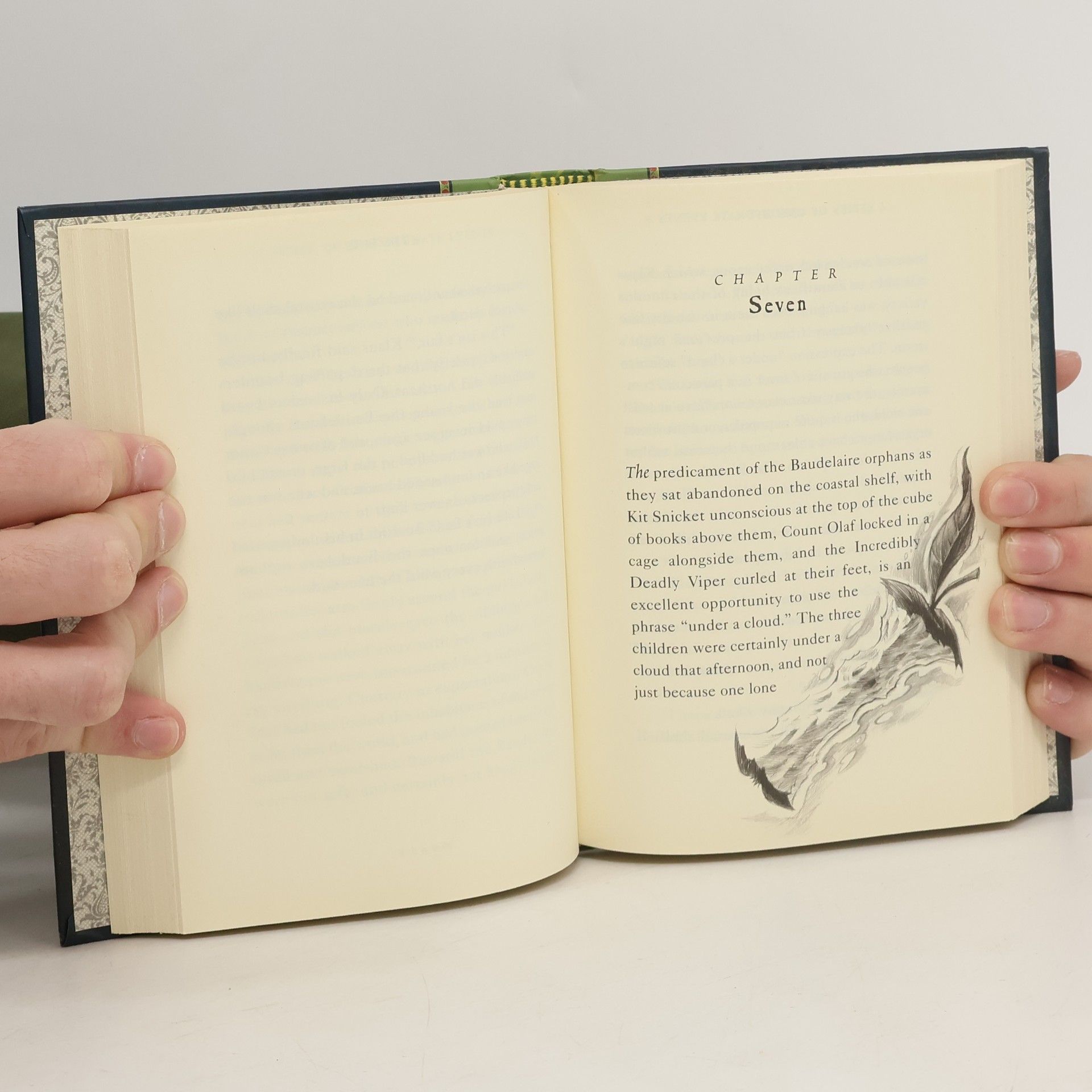Lemony Snicket A Series of Unfortunate Events 13. The End