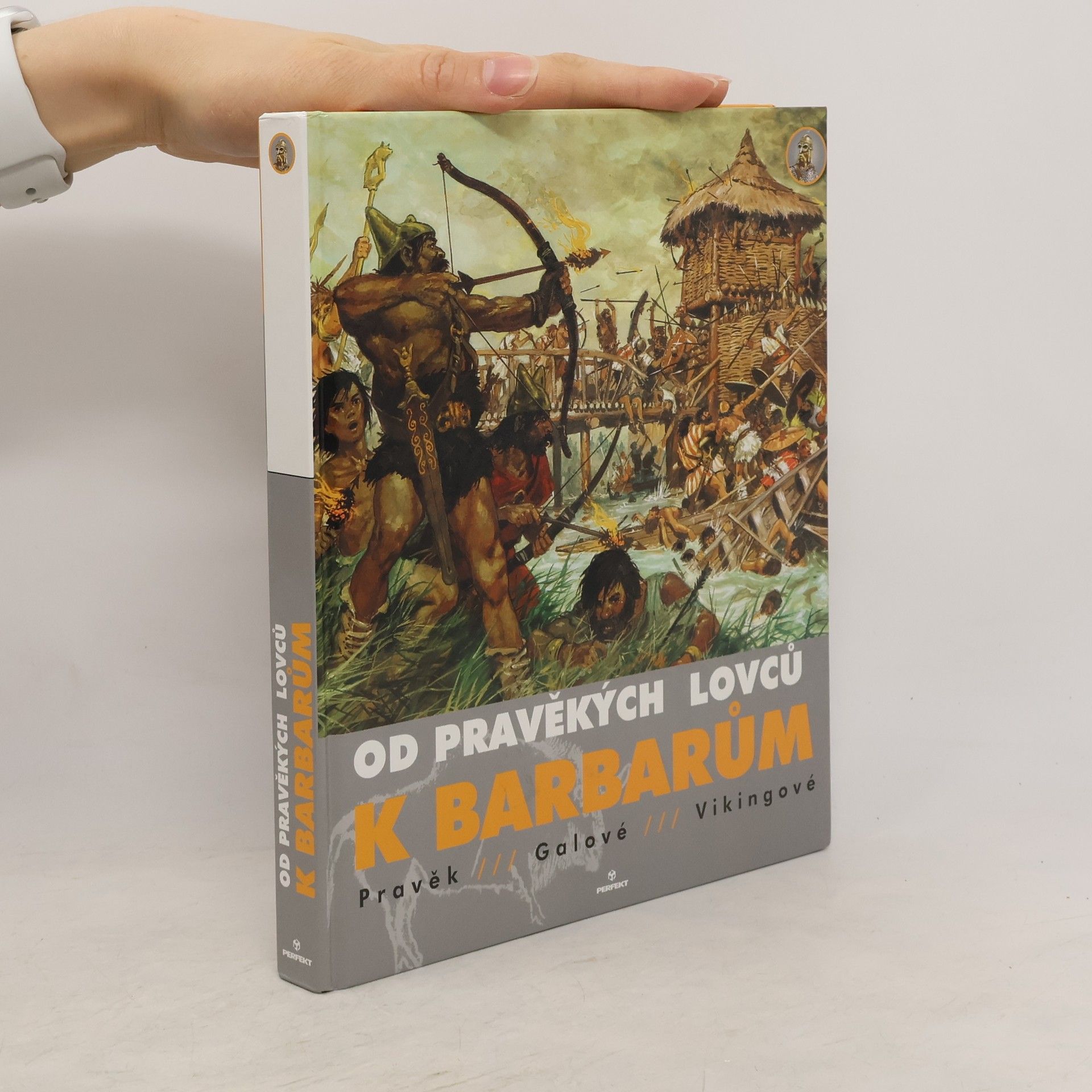 Louis René Nougier Od pravěkých lovců k barbarům. Pravěk. Gálové. Vikingové