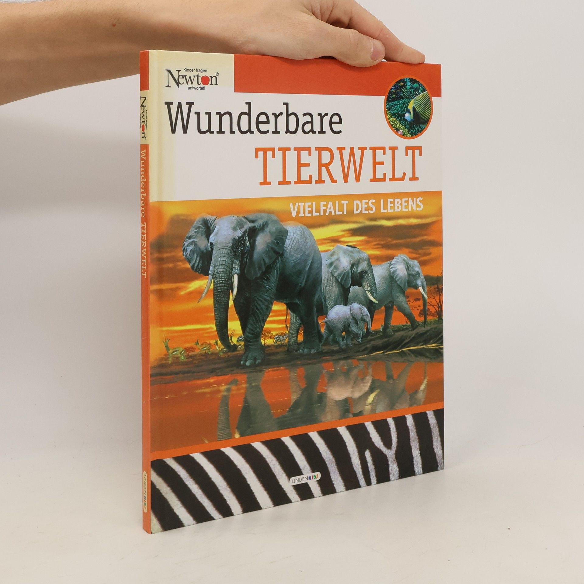 Heinrich Stiefel Wunderbare Tierwelt