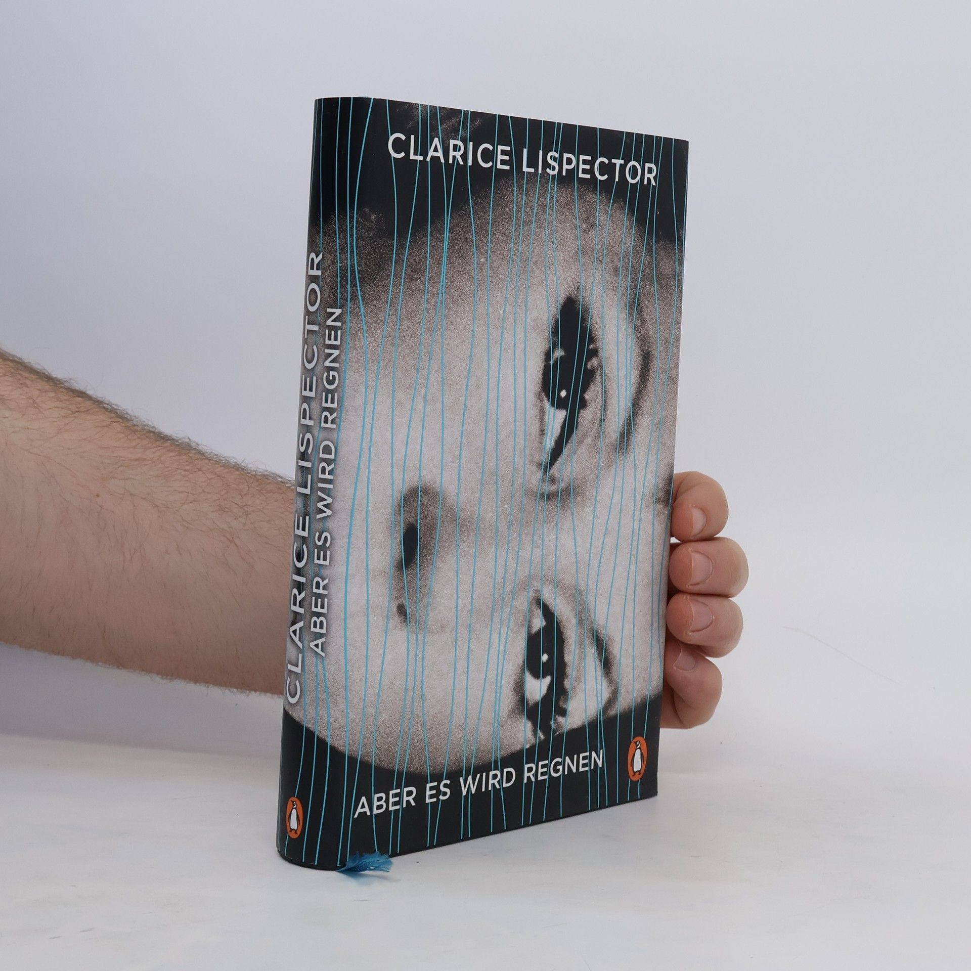 Clarice Lispector Aber es wird regnen
