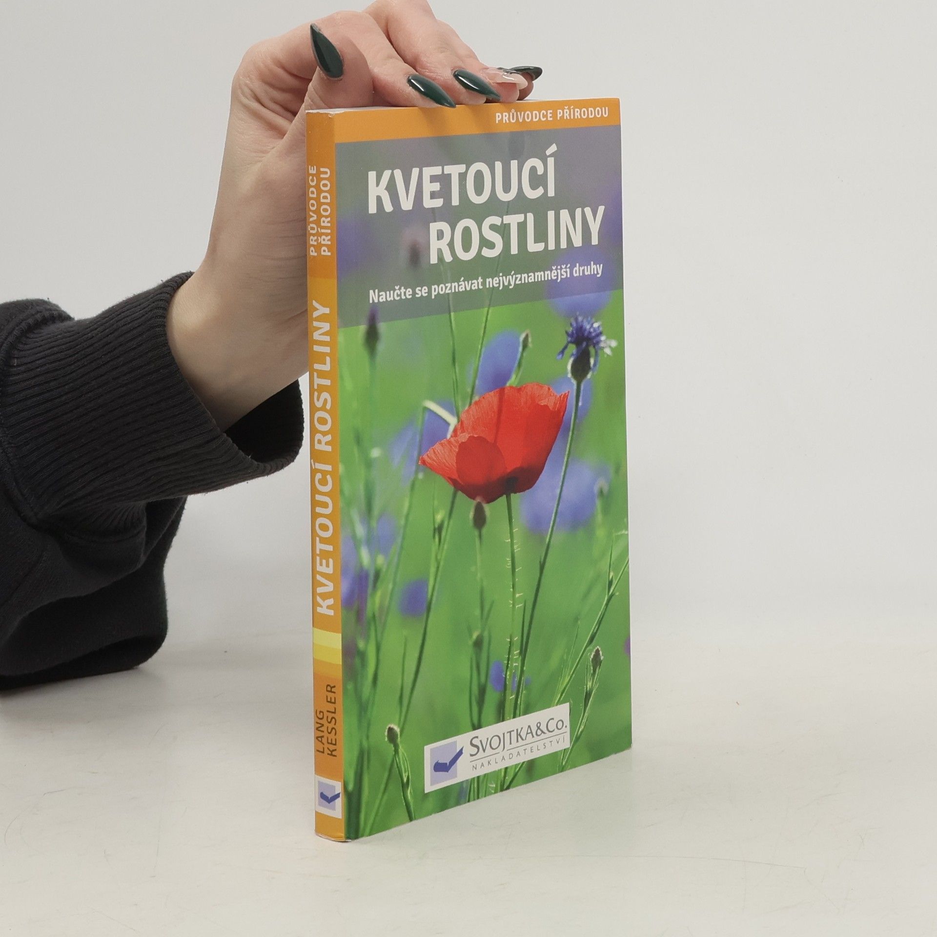 Angelika Lang Kvetoucí rostliny
