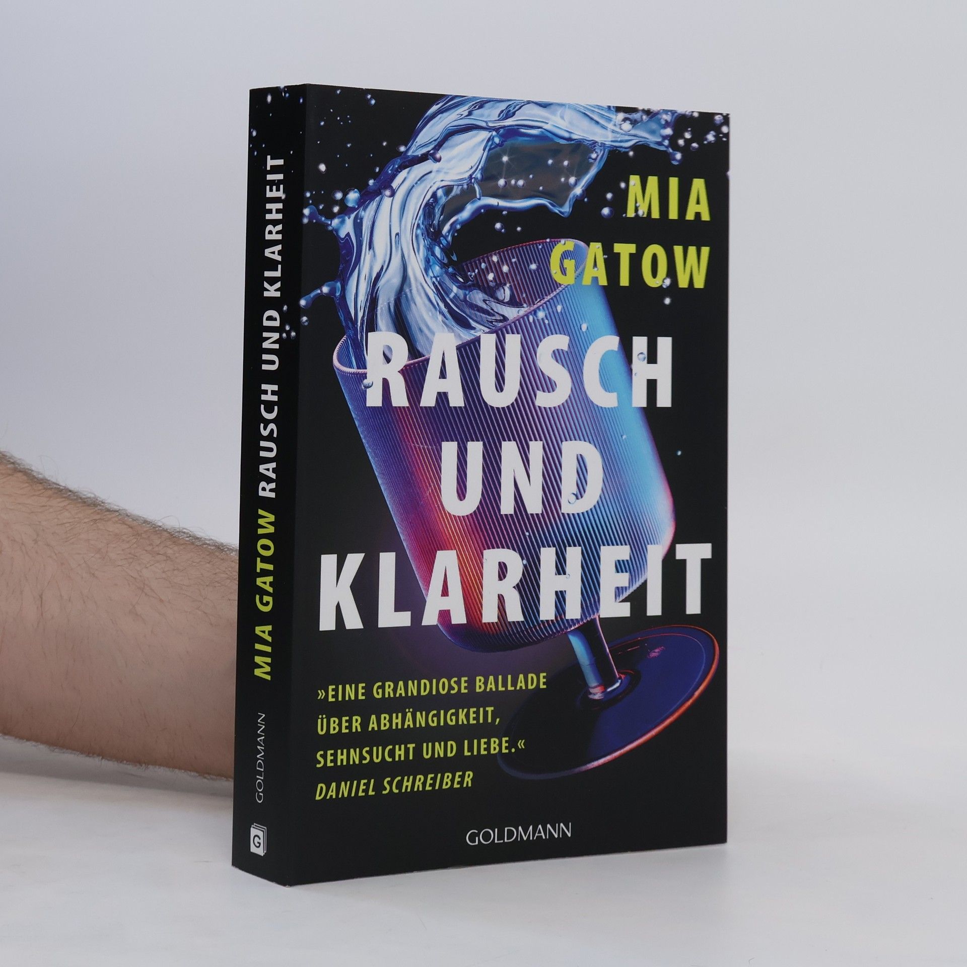 Mia Gatow Rausch und Klarheit. Der Alkohol, meine Familie, die Gesellschaft und ich - »Eine grandiose Ballade - über Abhängigkeit, Sehnsucht und Liebe« - Daniel Schreiber