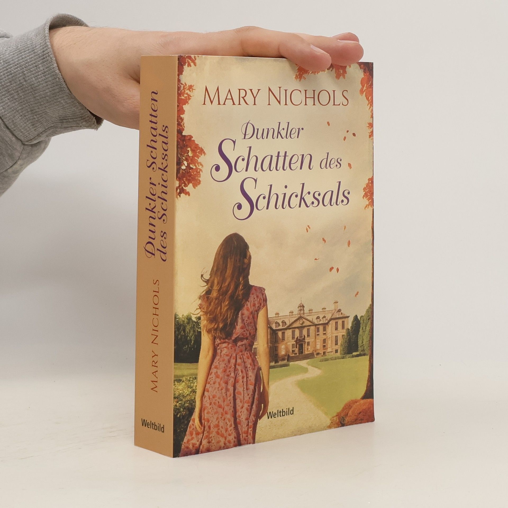 Mary Nichols Dunkler Schatten des Schicksals