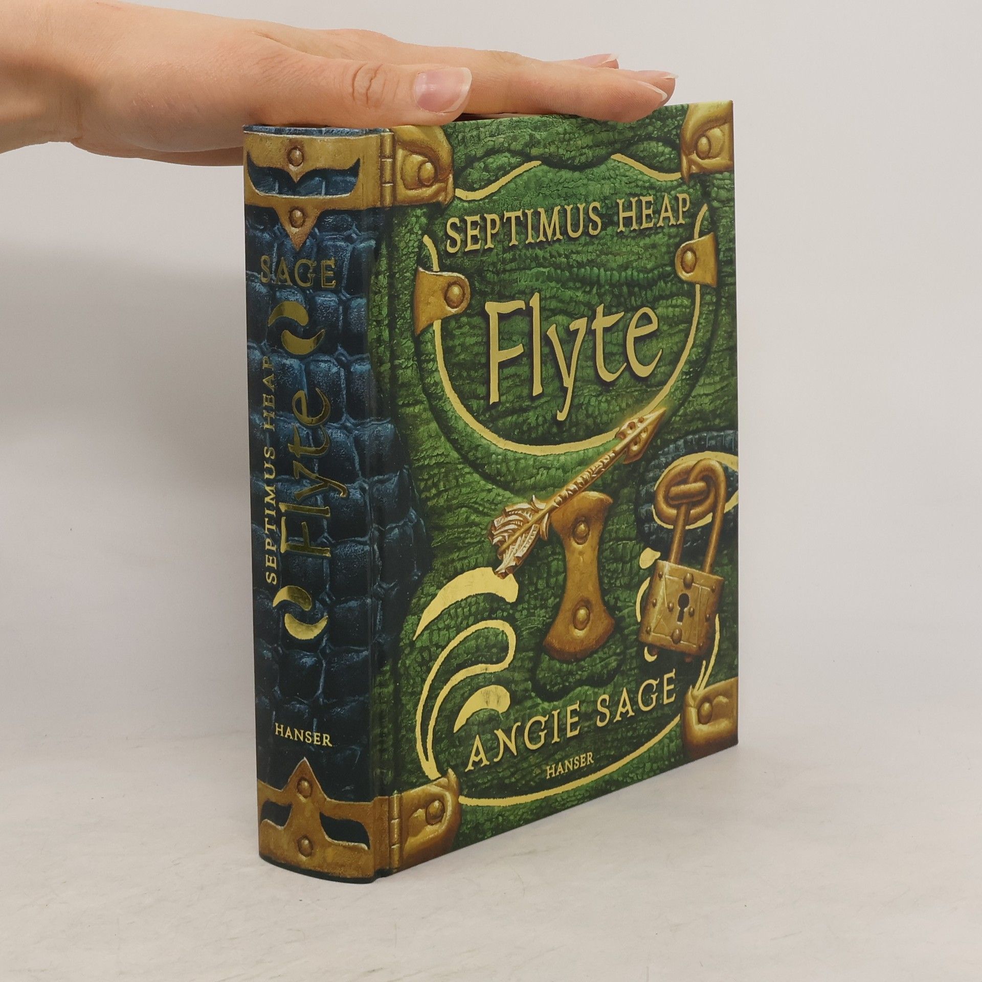 Angie Sage Septimus Heap: Flyte