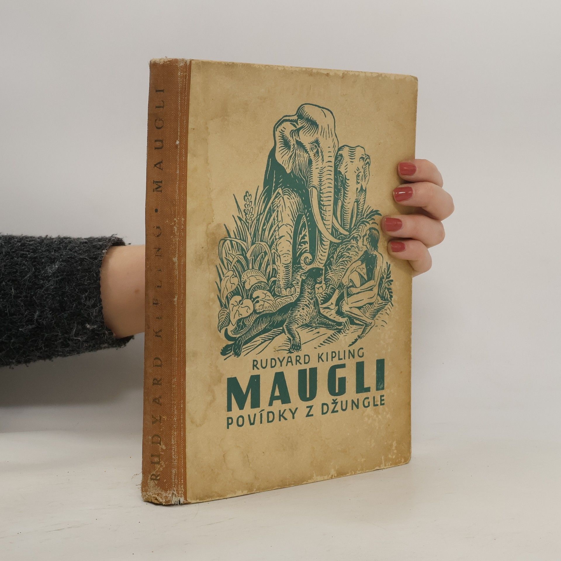 Rudyard Kipling Maugli