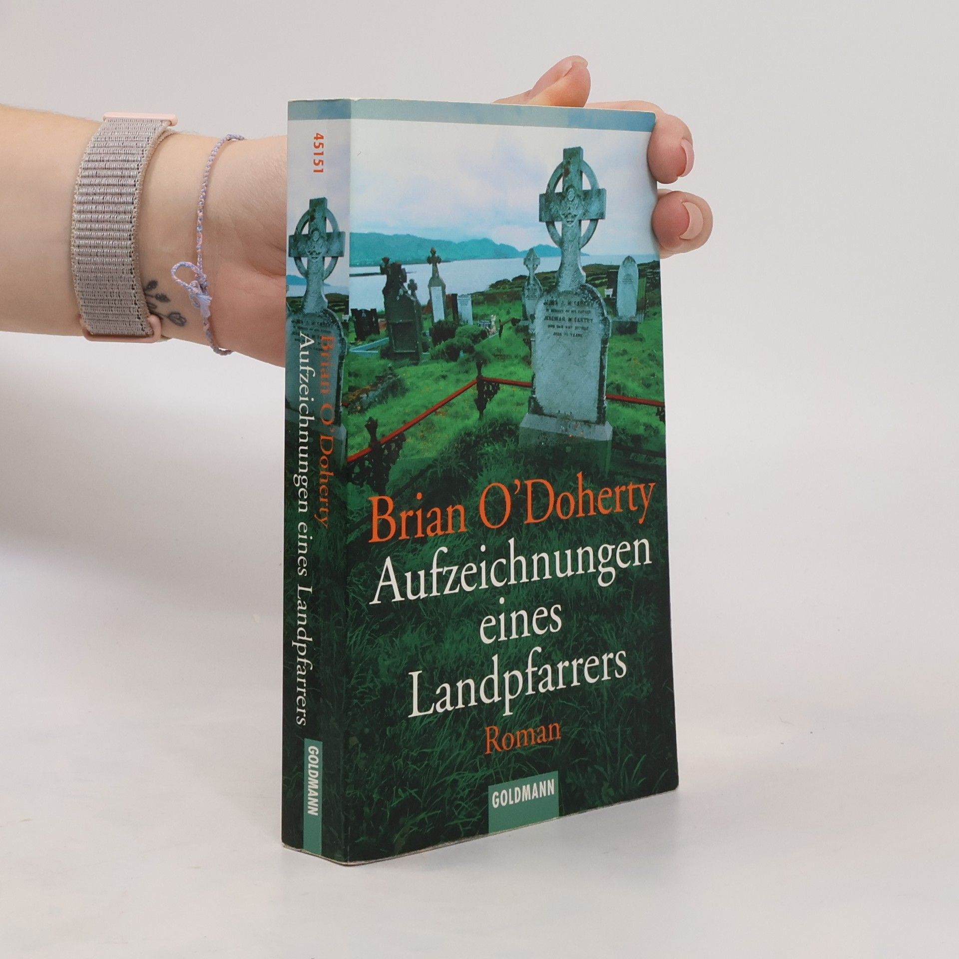 Brian ODoherty Aufzeichnungen eines Landpfarrers