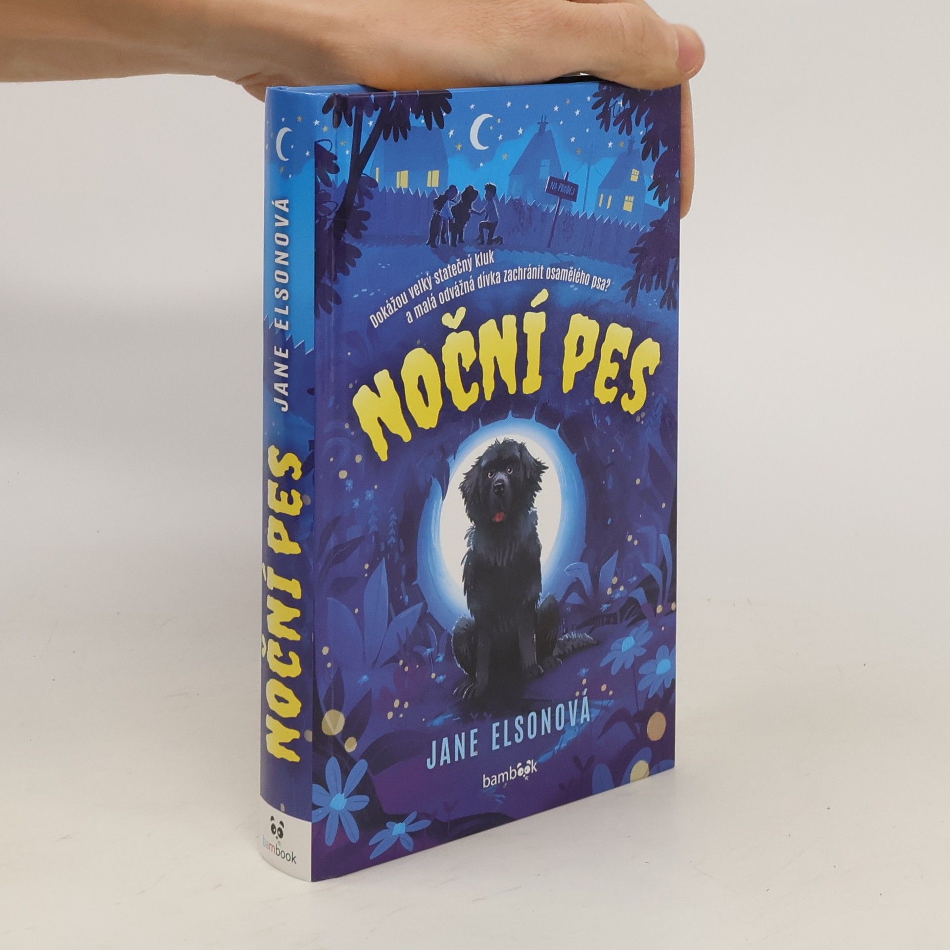 Jane Elson Noční pes