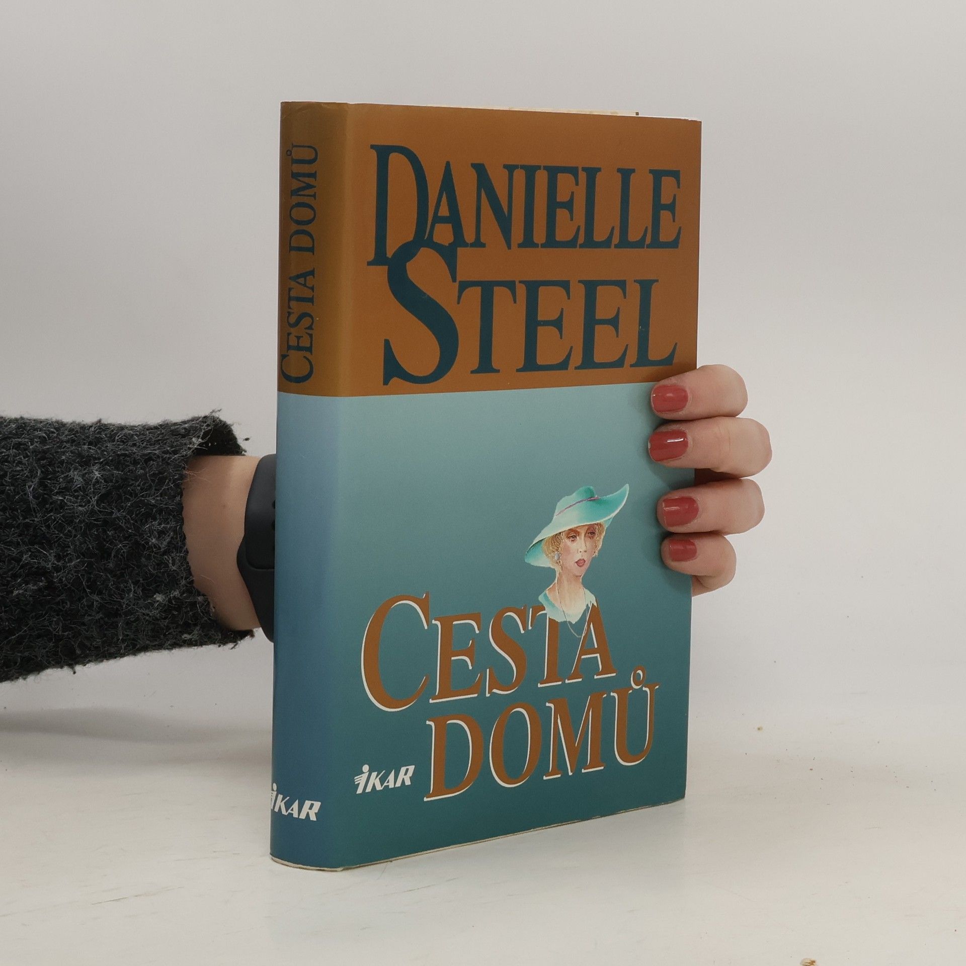 Danielle Steel Cesta domů