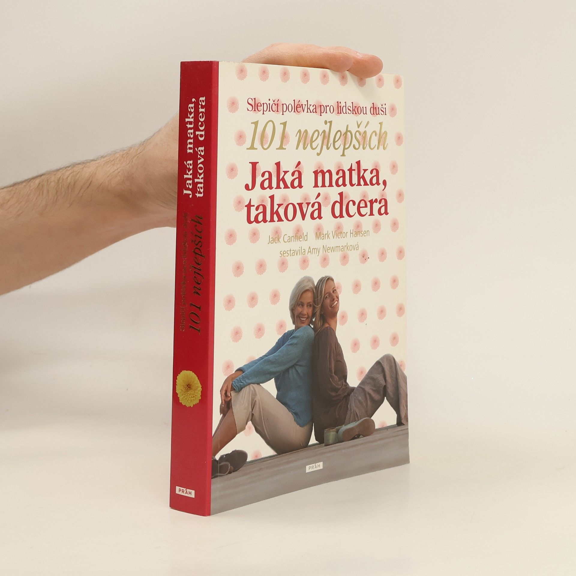 Jack Canfield Slepičí polévka pro lidskou duši. Jaká matka, taková dcera : 101 nejlepších