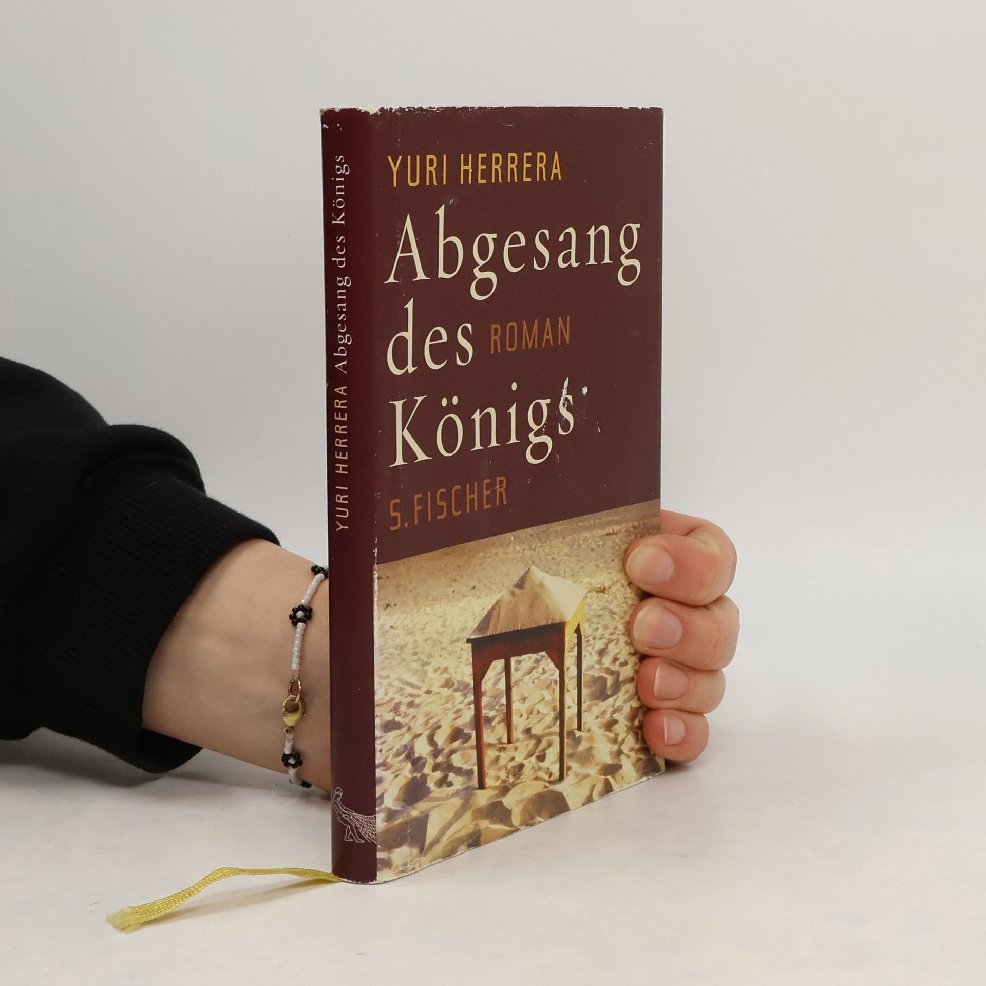 Yuri Herrera Abgesang des Königs