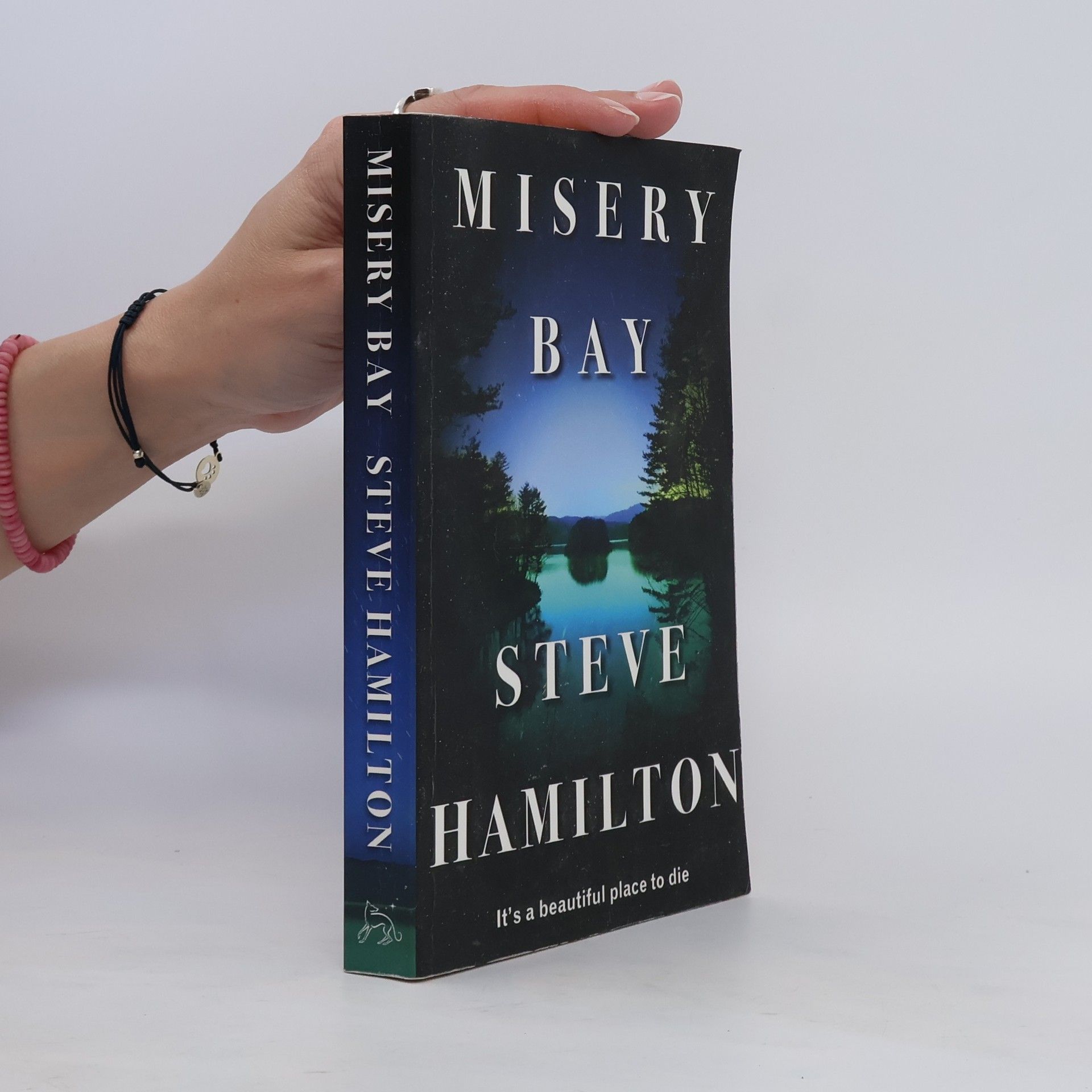 Steve Hamilton Misery Bay